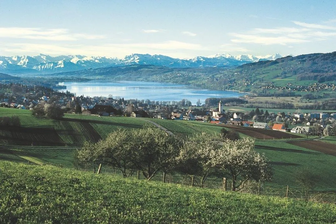 Hallwil AG