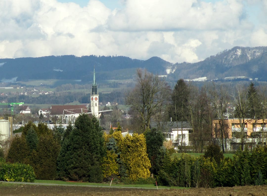 Cham ZG - S1-Knoten und Seezugang