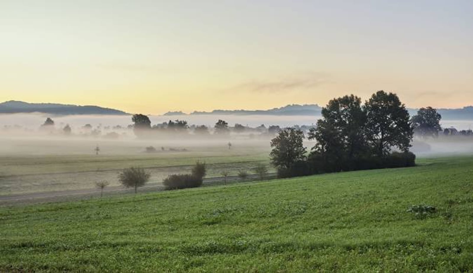 Morgenstimmung mit Nebel über den Feldern bei Aristau