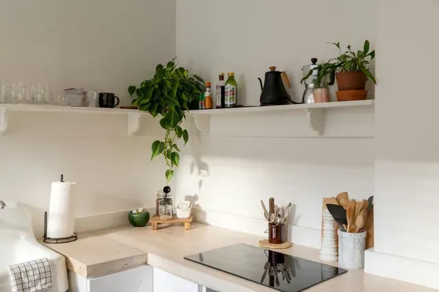 Frühlingserwachen: Bringen Sie Ihr Zuhause auf Vordermann!