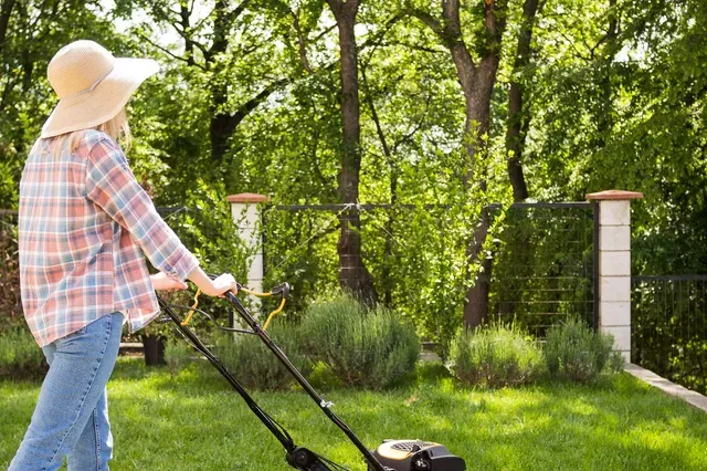 Rasenpflege leicht gemacht: Tipps für den perfekten Rasen