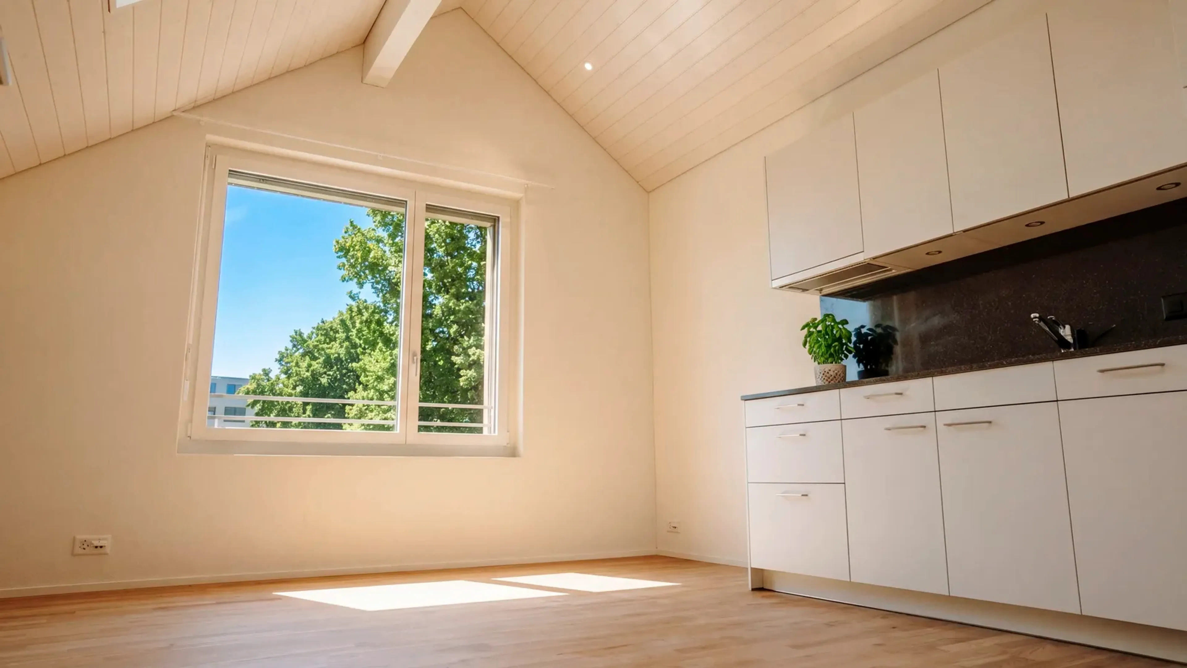 Helles 1.5-Zimmer-Dachstudio in Dübendorf mieten
