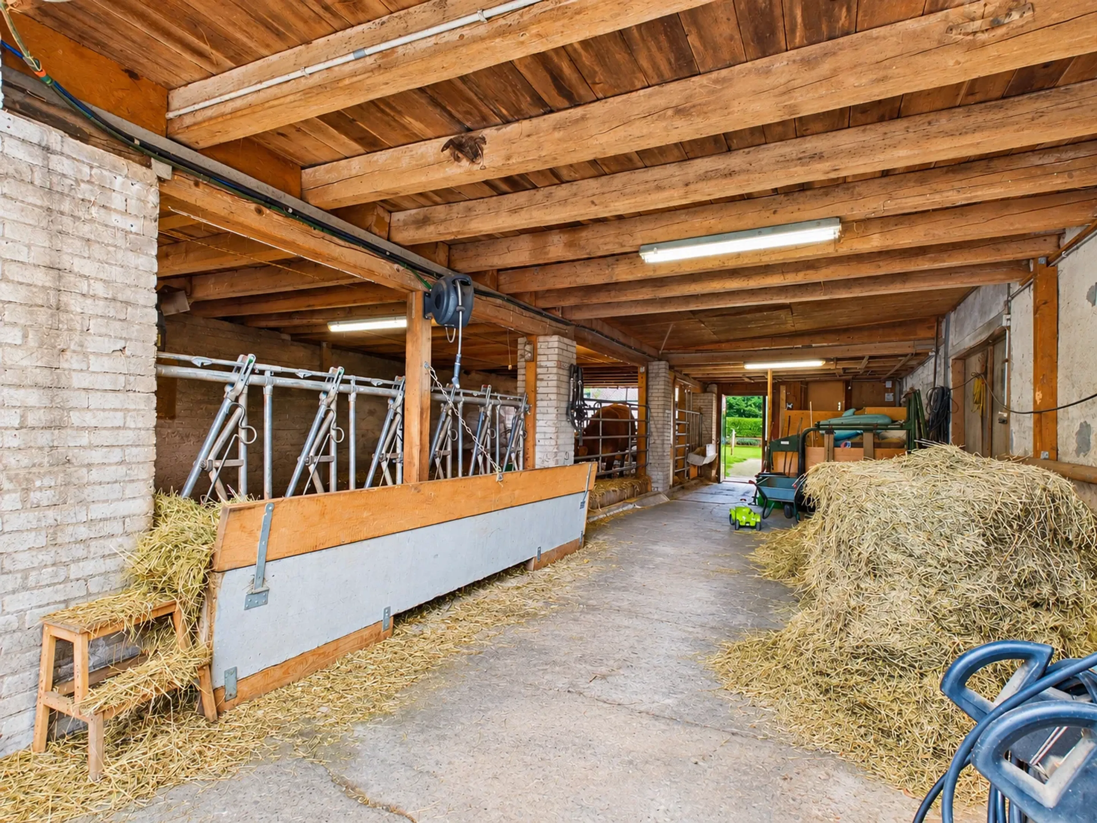 Grosszügiges 7-Zimmer-Bauernhaus mit Einliegerwohnung und vielseitigem Nutzungspotenzial - 10