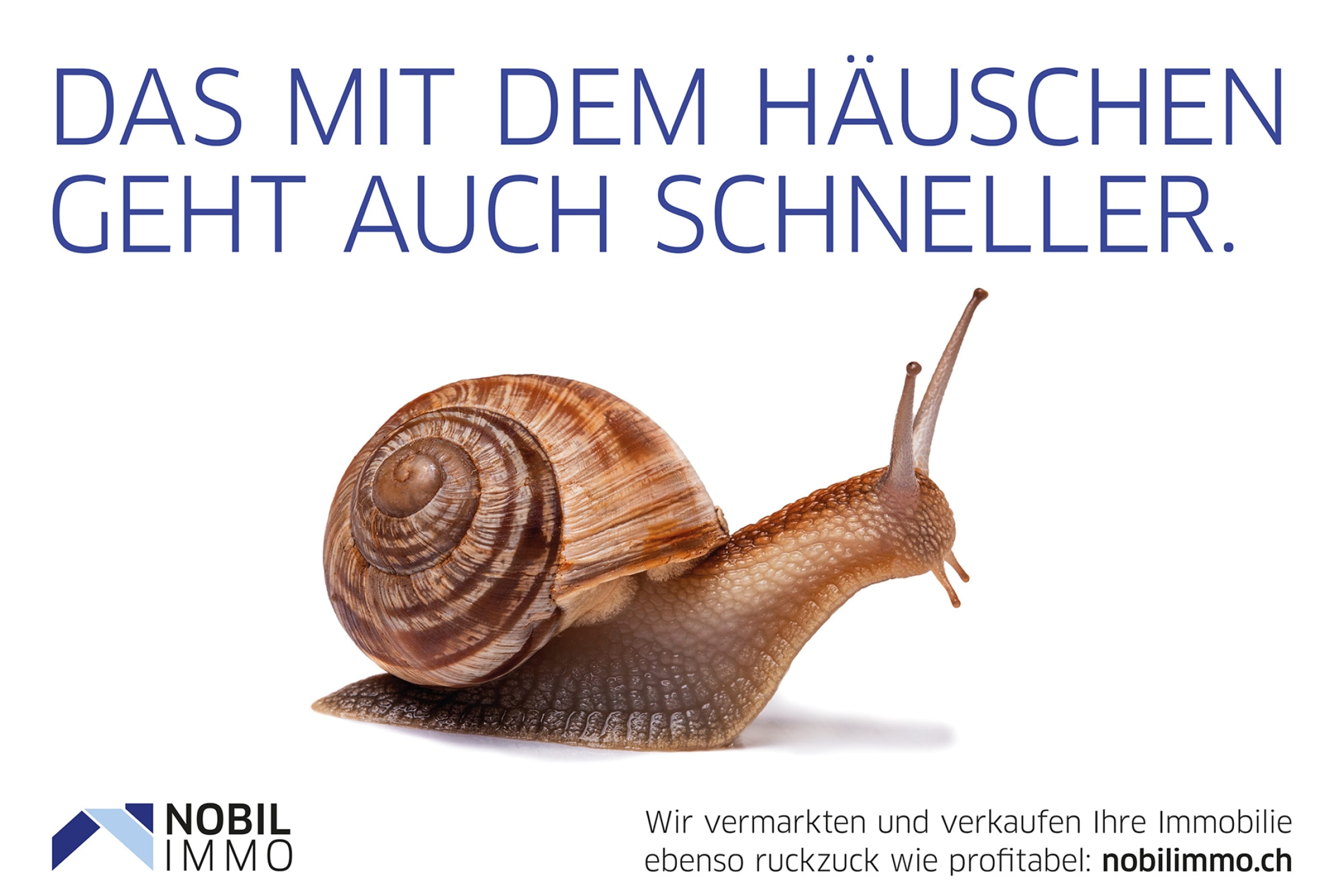 Repräsentatives Anwesen mit grossem Grundstück und Potenzial - 13