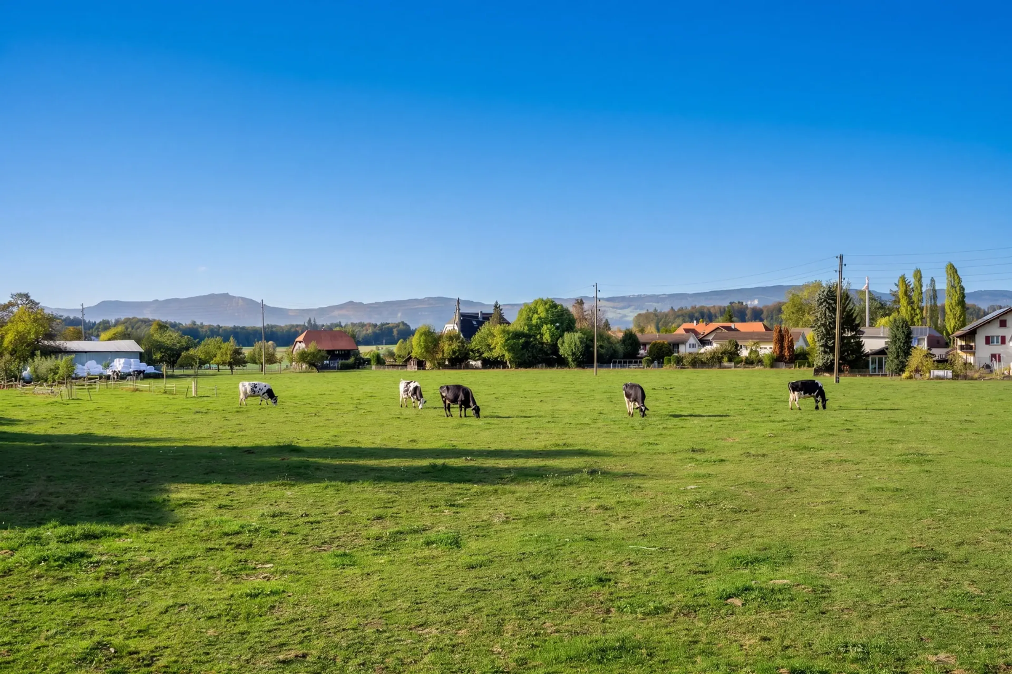Freistehendes Einfamilienhaus mit Einliegerwohnung und Baulandreserve - 19