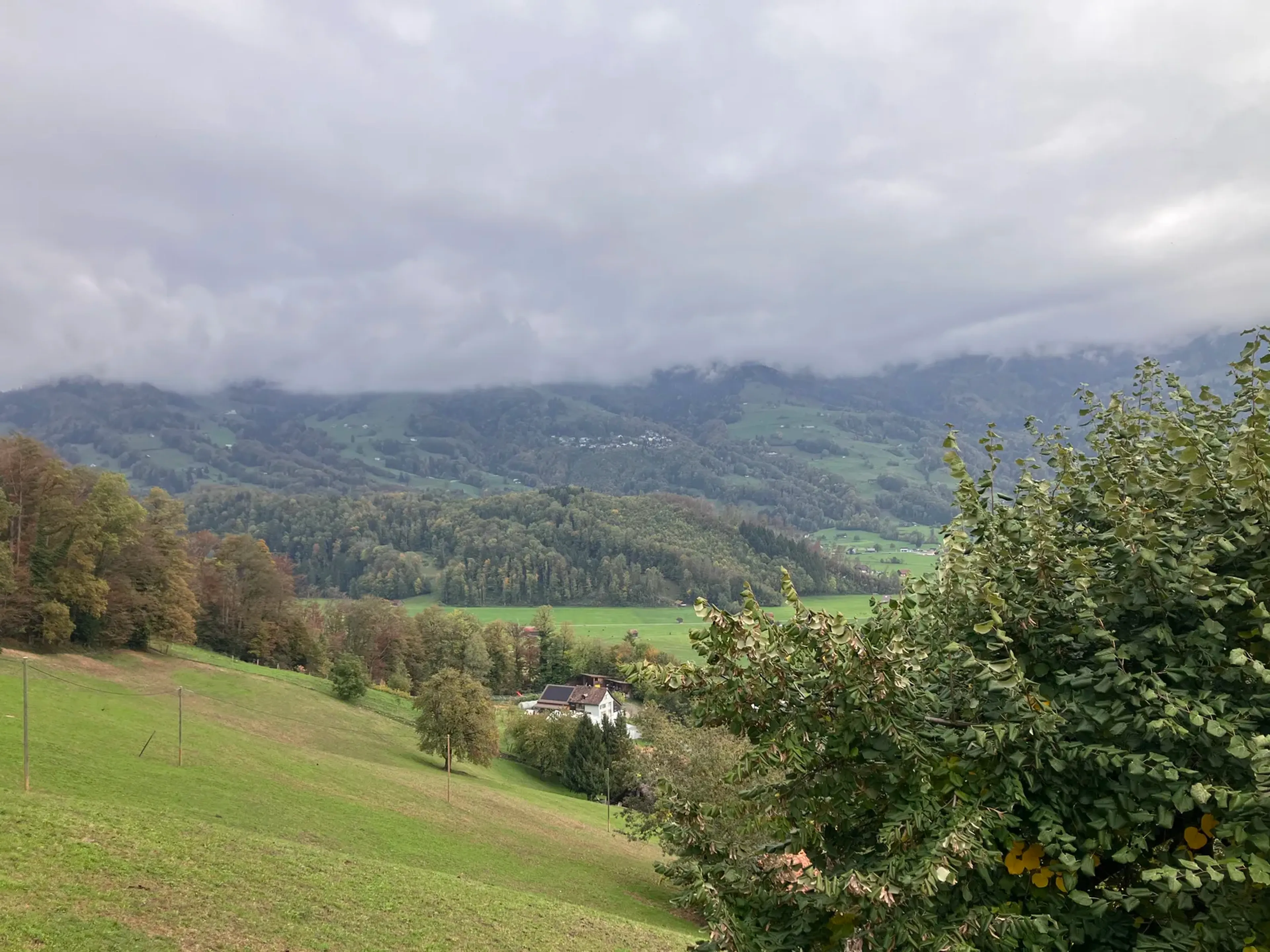 Grundstück mit älterem Haus, traumhafter Aussicht und 1001 Möglichkeiten - 24