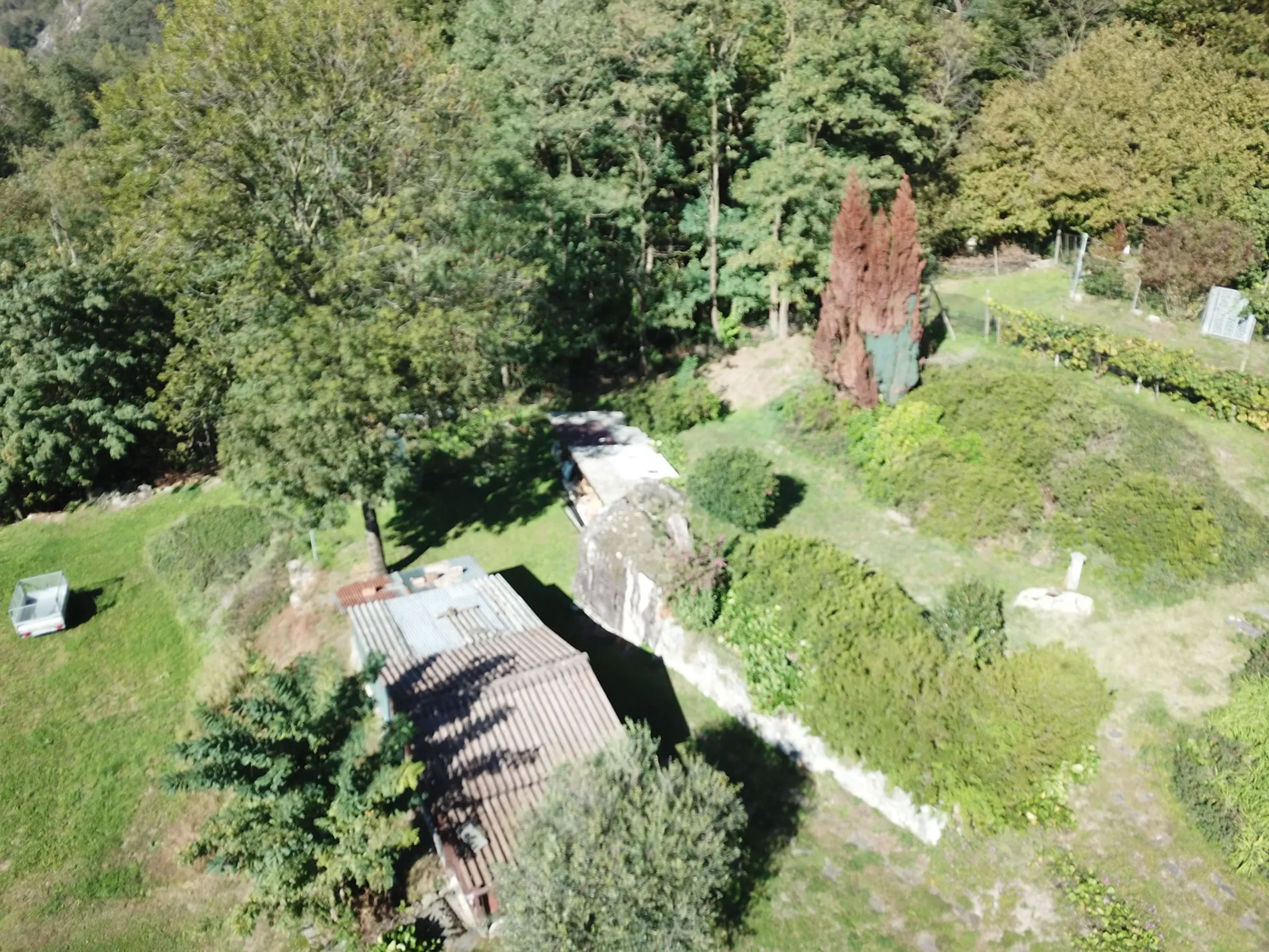 Casa di 5.5 locali con appartamentino distinto, con ampio giardino a Claro - 14