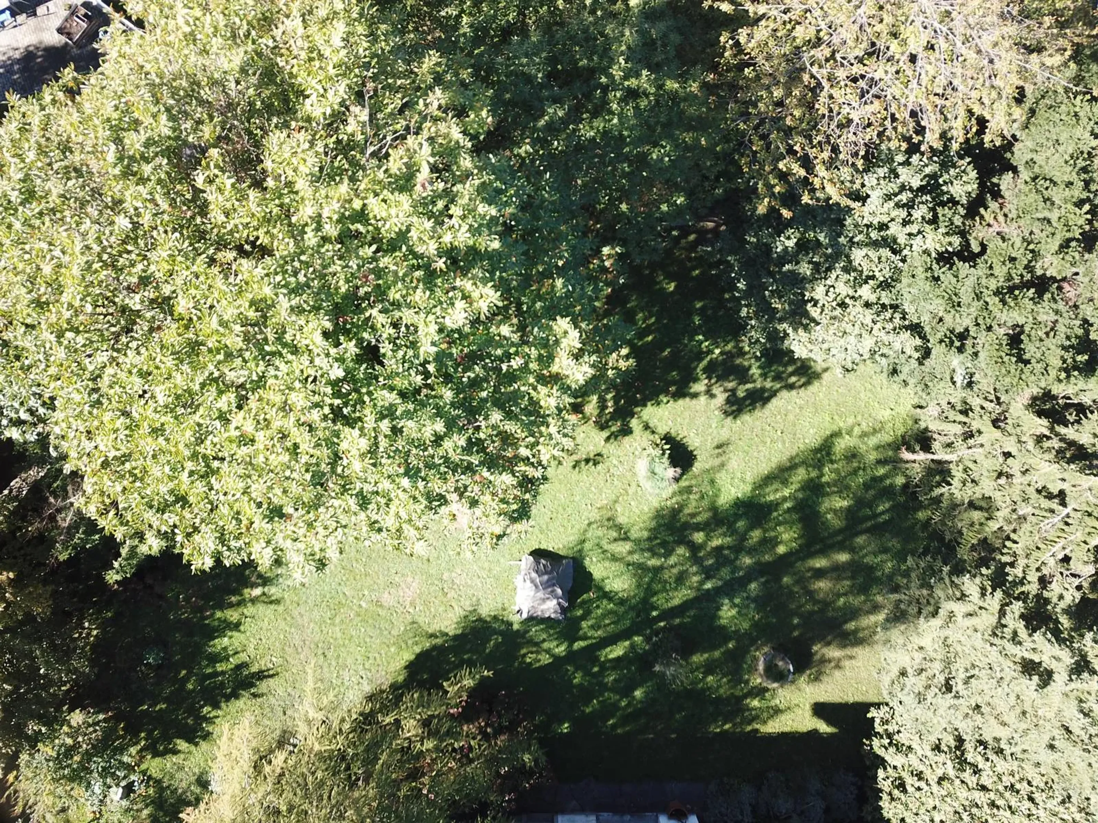 Terreno edificabile di 600 m² in zona residenziale a Claro - 2