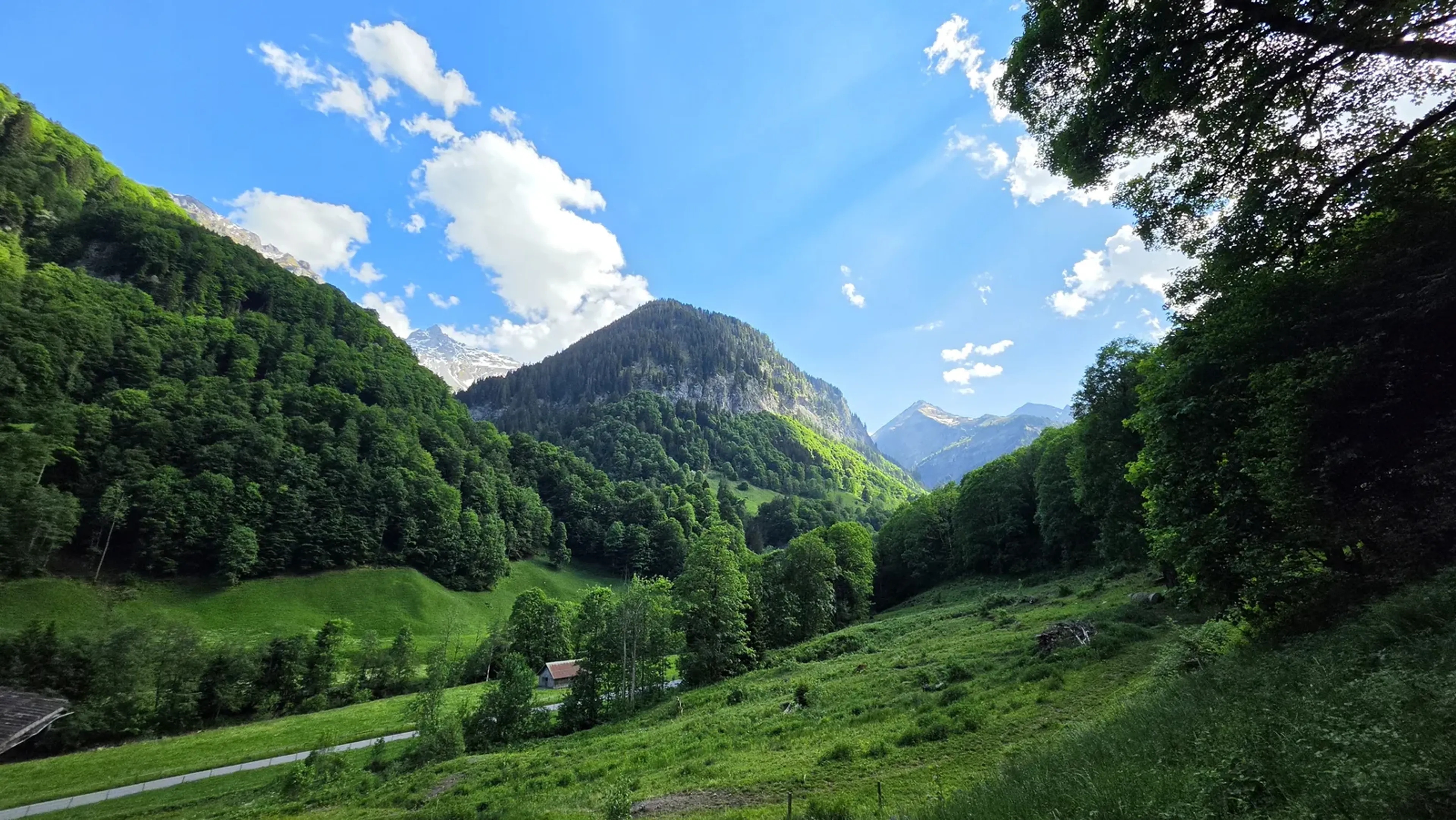6-Zimmer-Haus mit Bergsicht in Schwendi im Weisstannental kaufen - 7