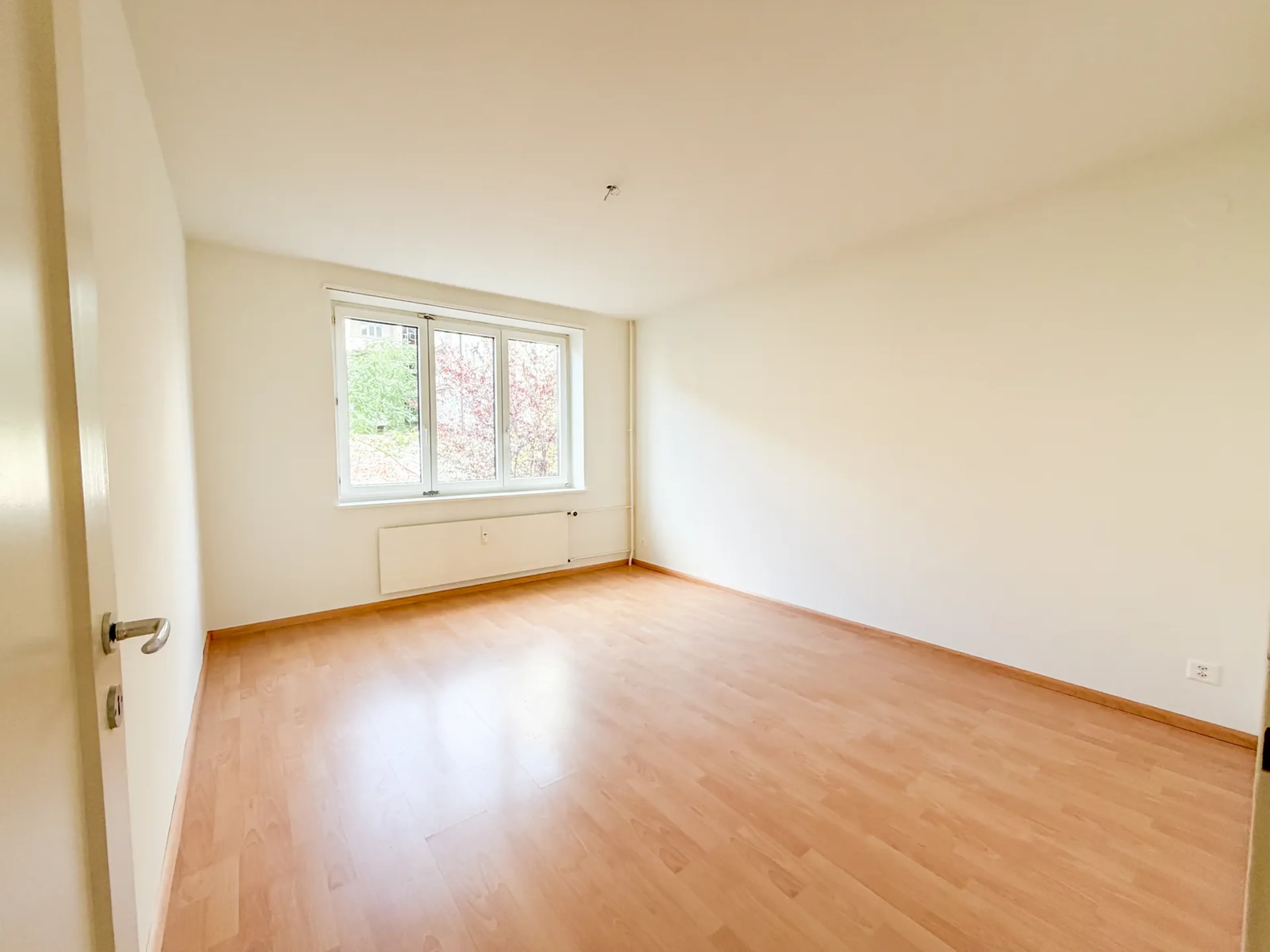 3-Zimmerwohnung mit Balkon ins Grüne in Basel mieten - 4