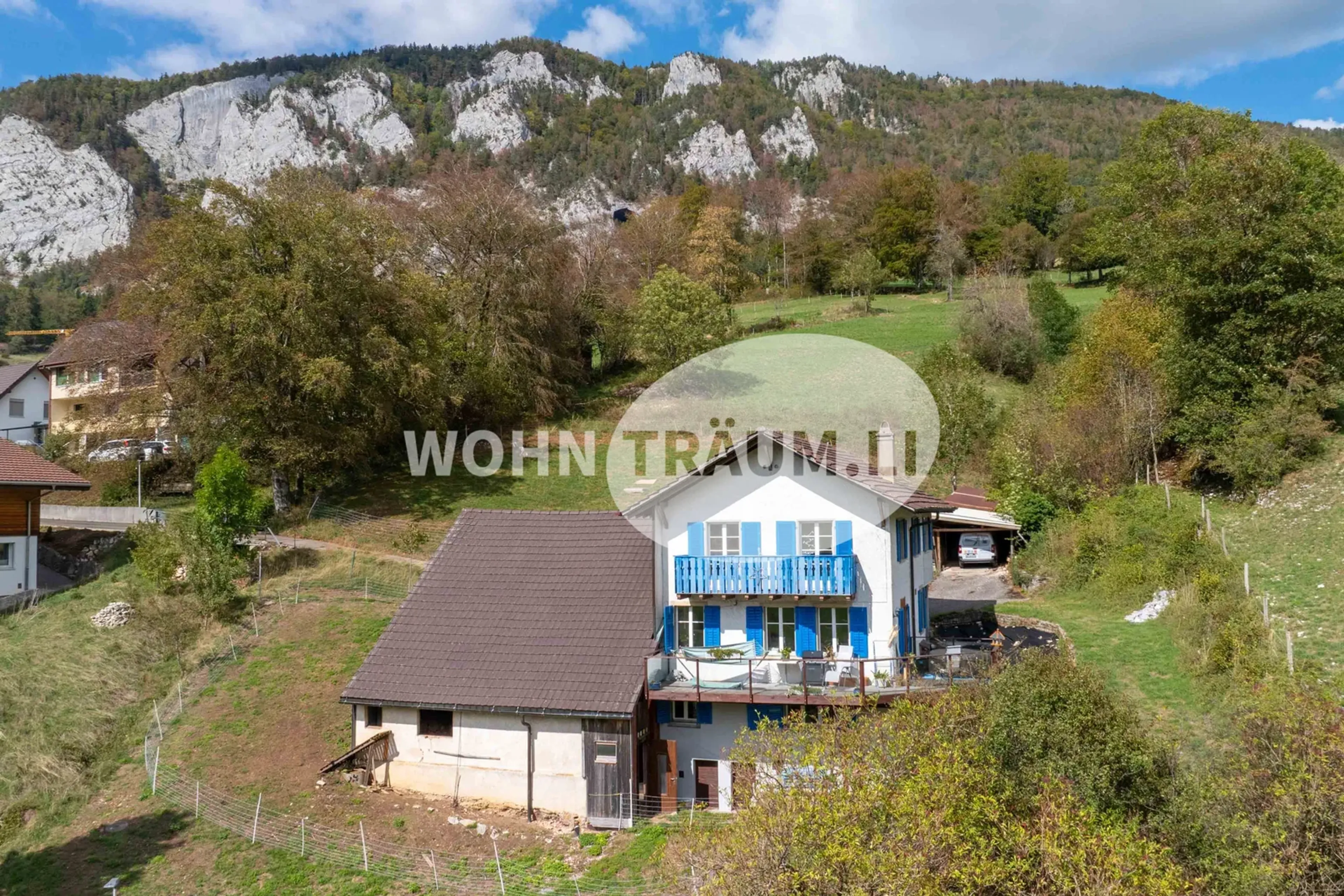 5-Zimmer Einfamilienhaus mit grossem Grundstück in Welschenrohr - 1