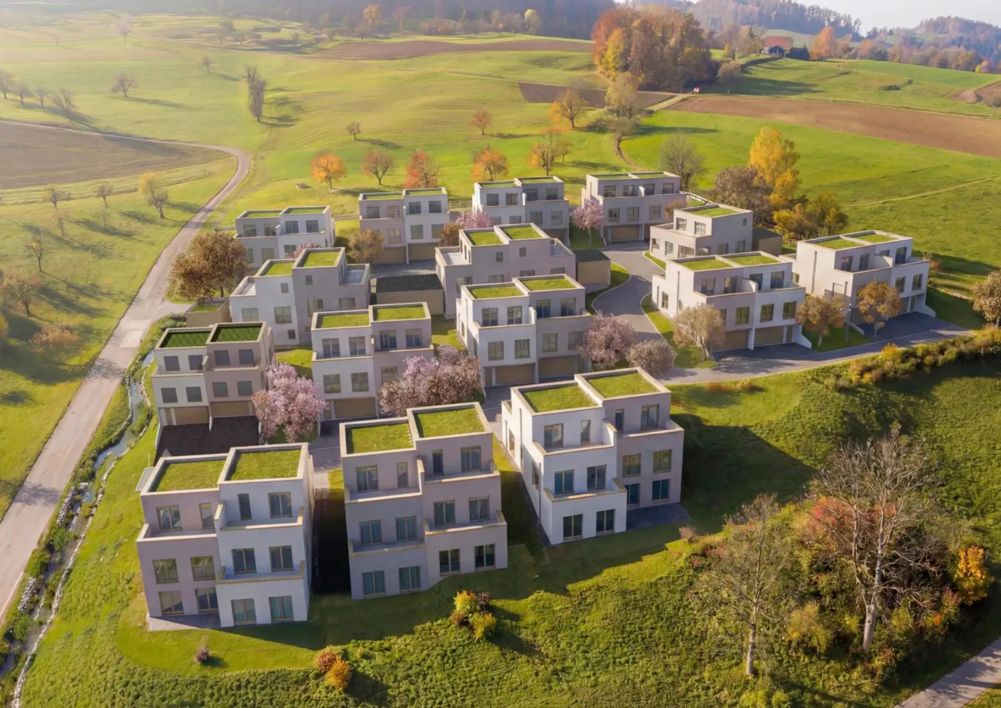 5.5-Zimmer-Doppelhaushälfte mit bis zu 61m² grossen Terrasse in Thürnen kaufen - Bild 2