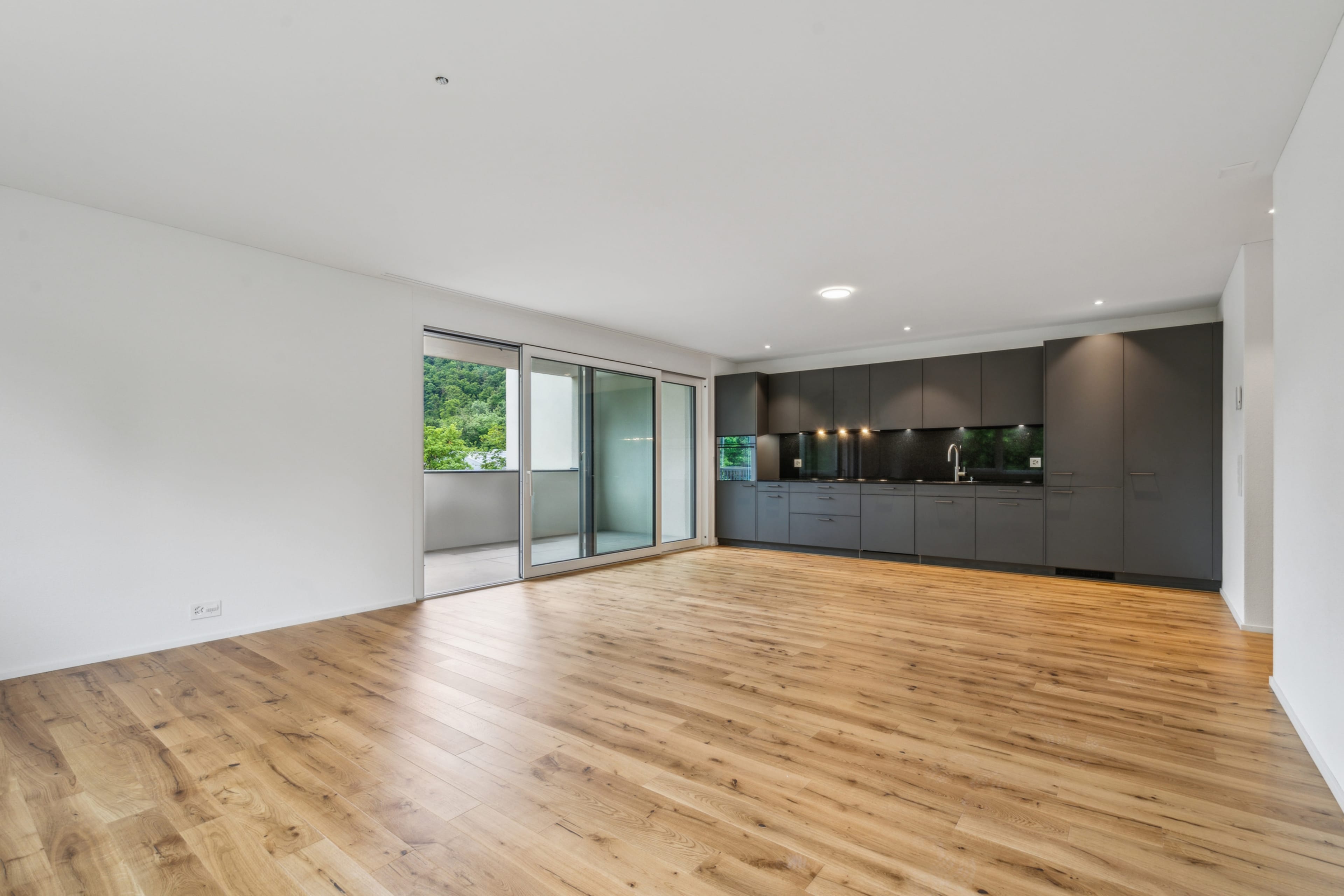 Neubau-Wohnung mit grosser Terrasse und exzellenter Ausstattung - 1