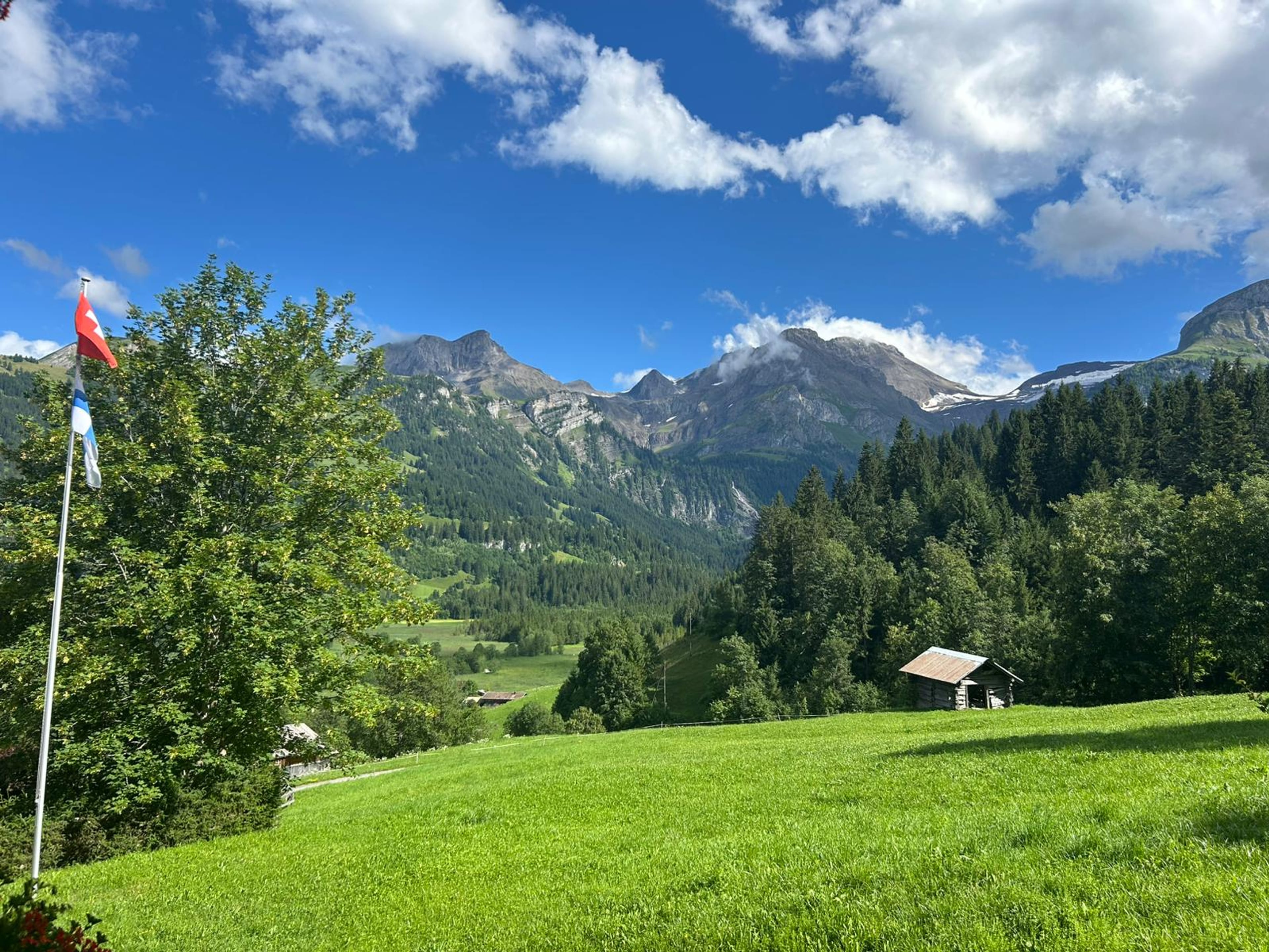 Lichtdurchflutetes Chalet - Panoramasicht und höchste Privatsphäre - 7