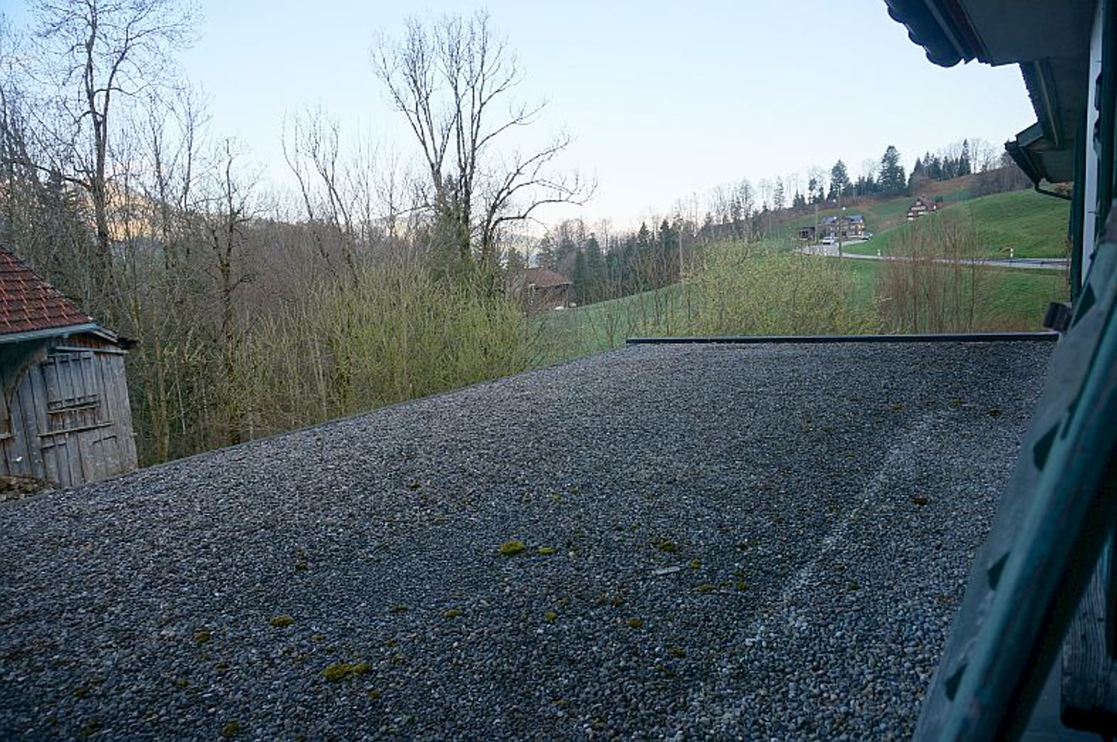 Ensemble mit Gasthaus, 2 Wohnungen & Scheune in Nesslau - kaufen - 22
