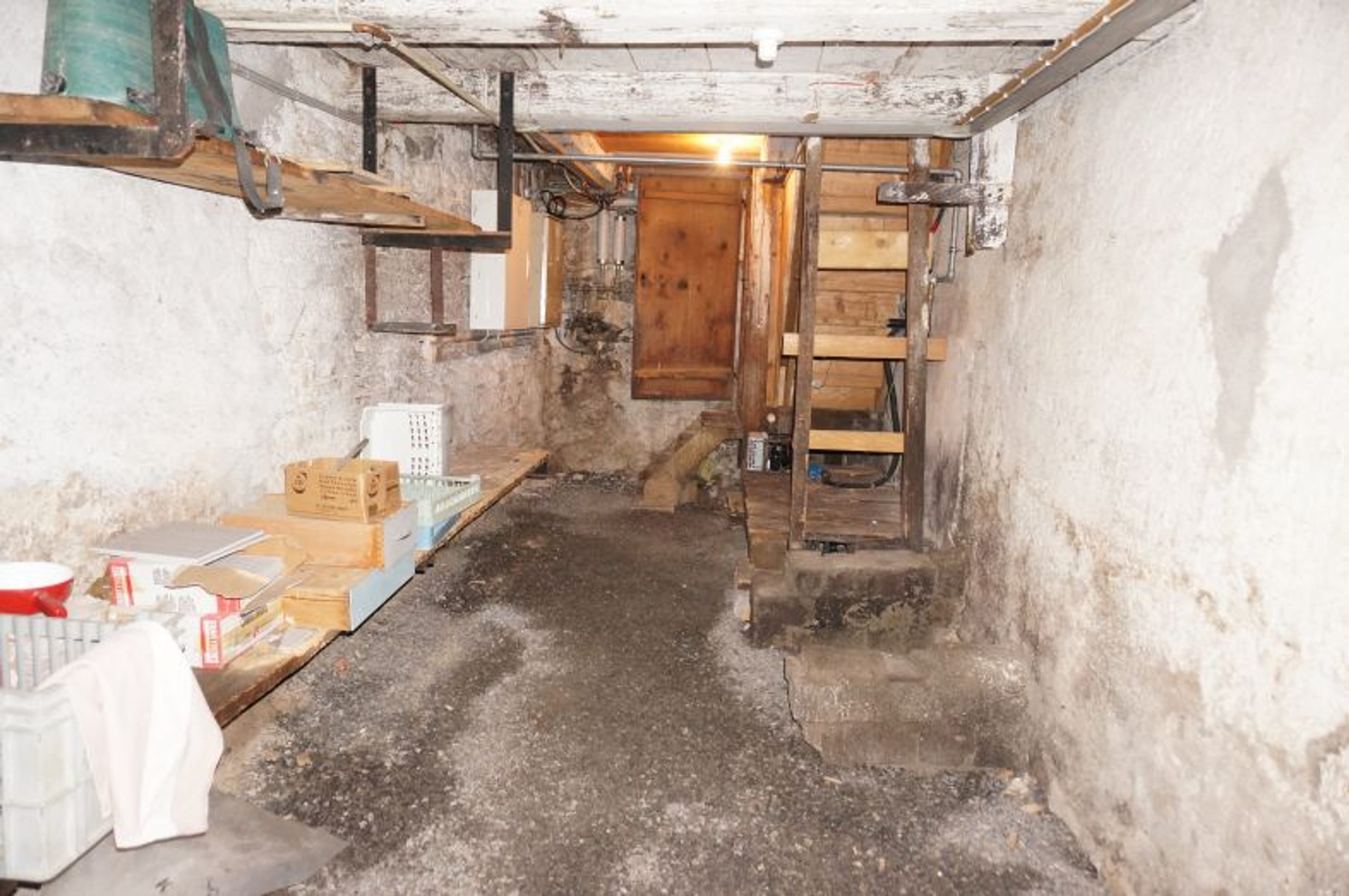 Ensemble mit Gasthaus, 2 Wohnungen & Scheune in Nesslau - kaufen - 61