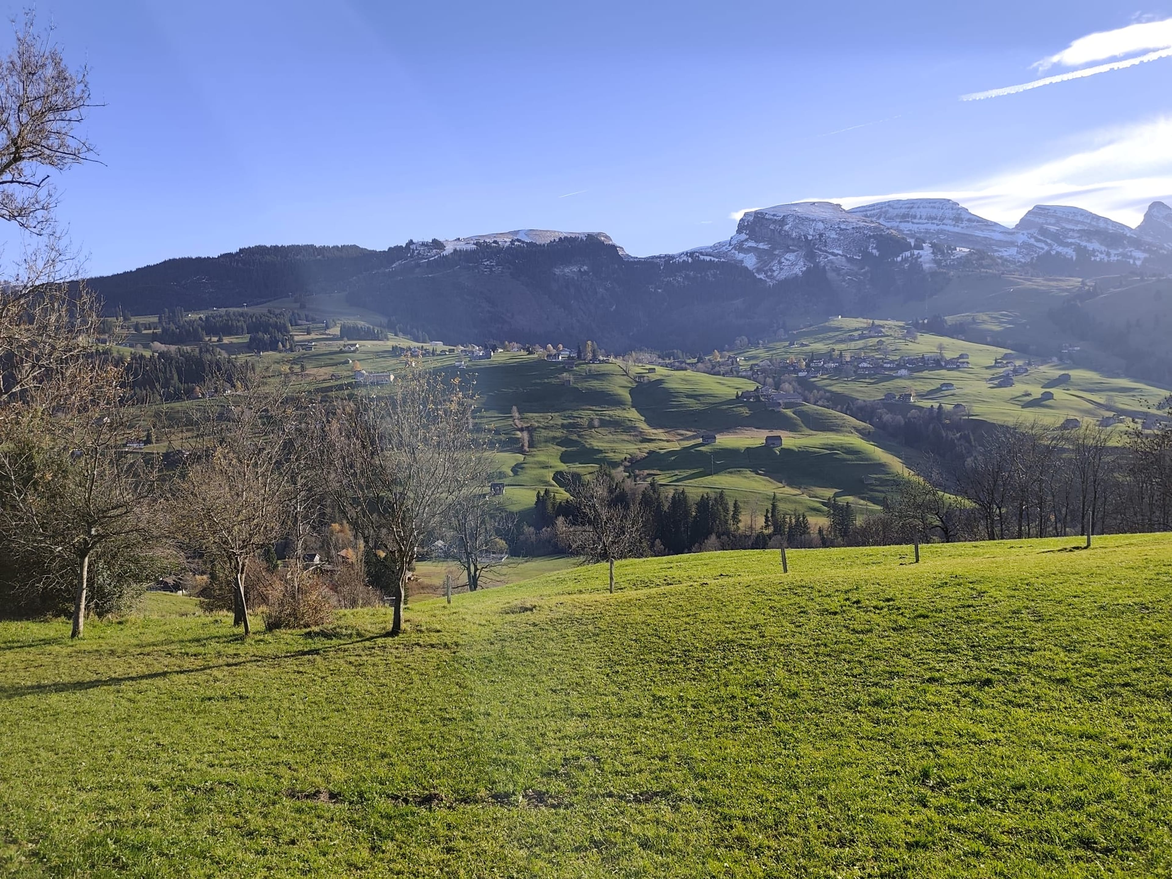 7-Zimmer-Bauernhaus mit Weitsicht in Wildhaus-Alt St. Johann mieten - 5
