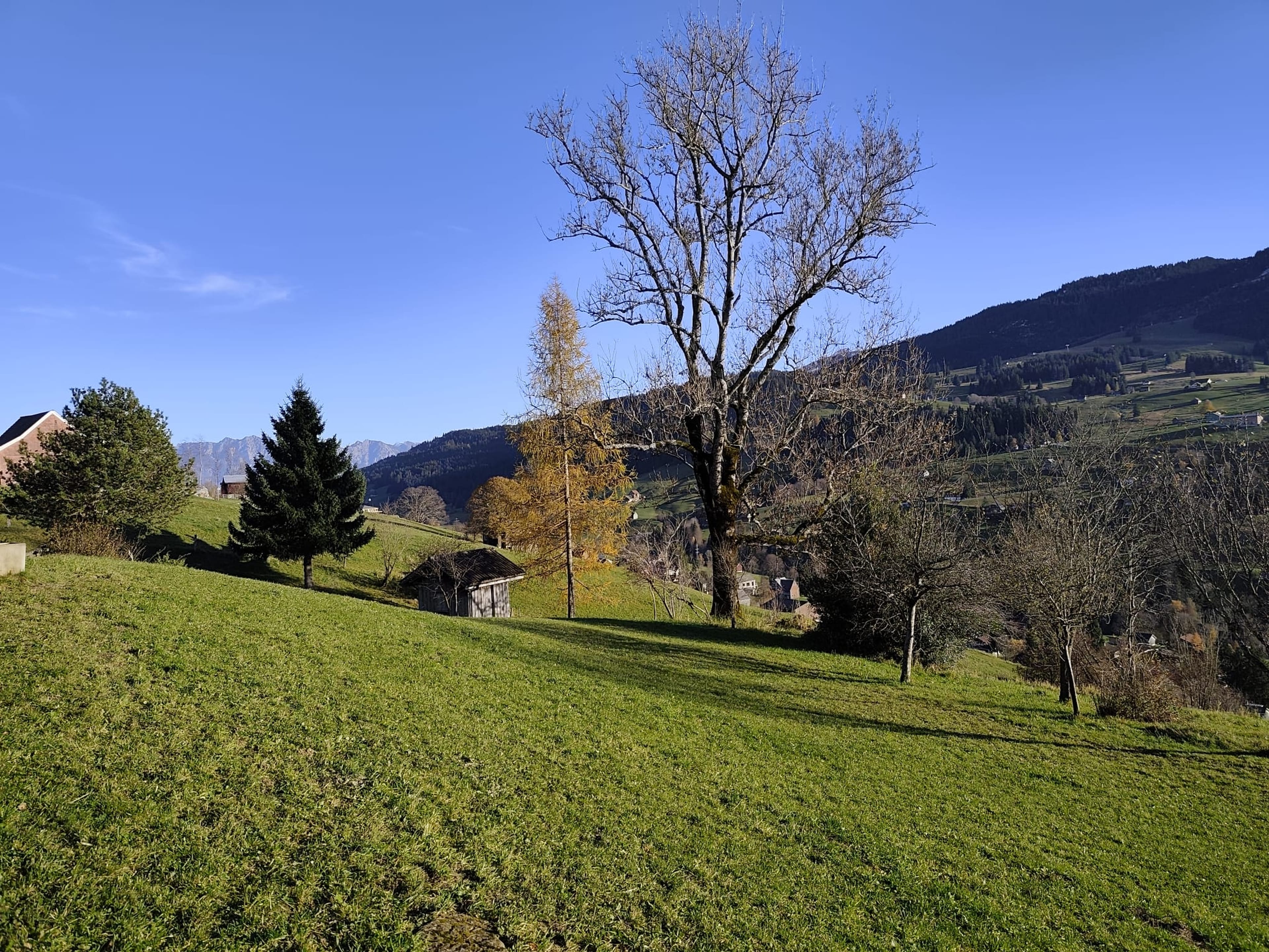 7-Zimmer-Bauernhaus mit Weitsicht in Wildhaus-Alt St. Johann mieten - 4