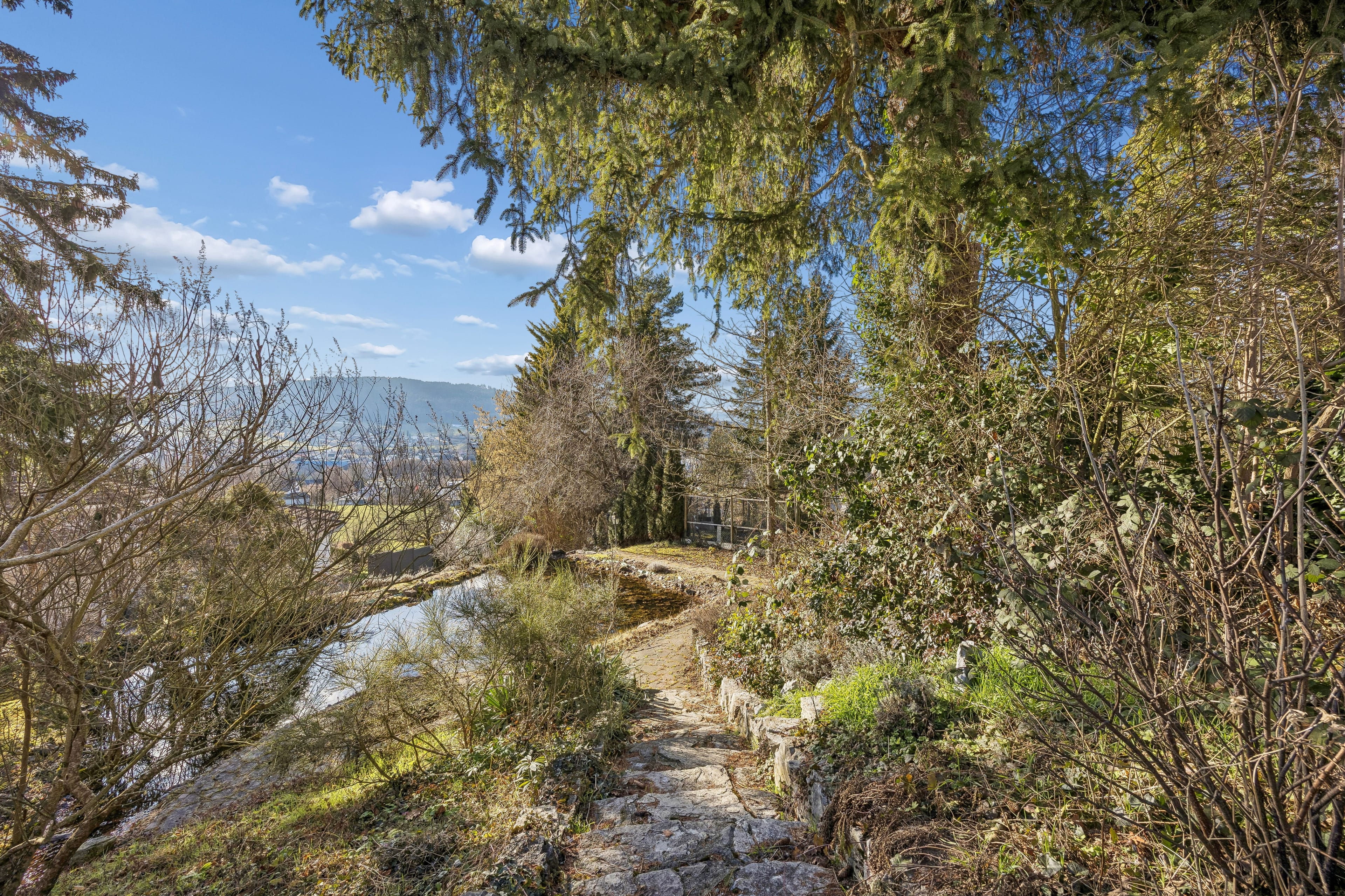 Jugendstilvilla in Reinach mit aussergewöhnlichem Parkgarten - 30
