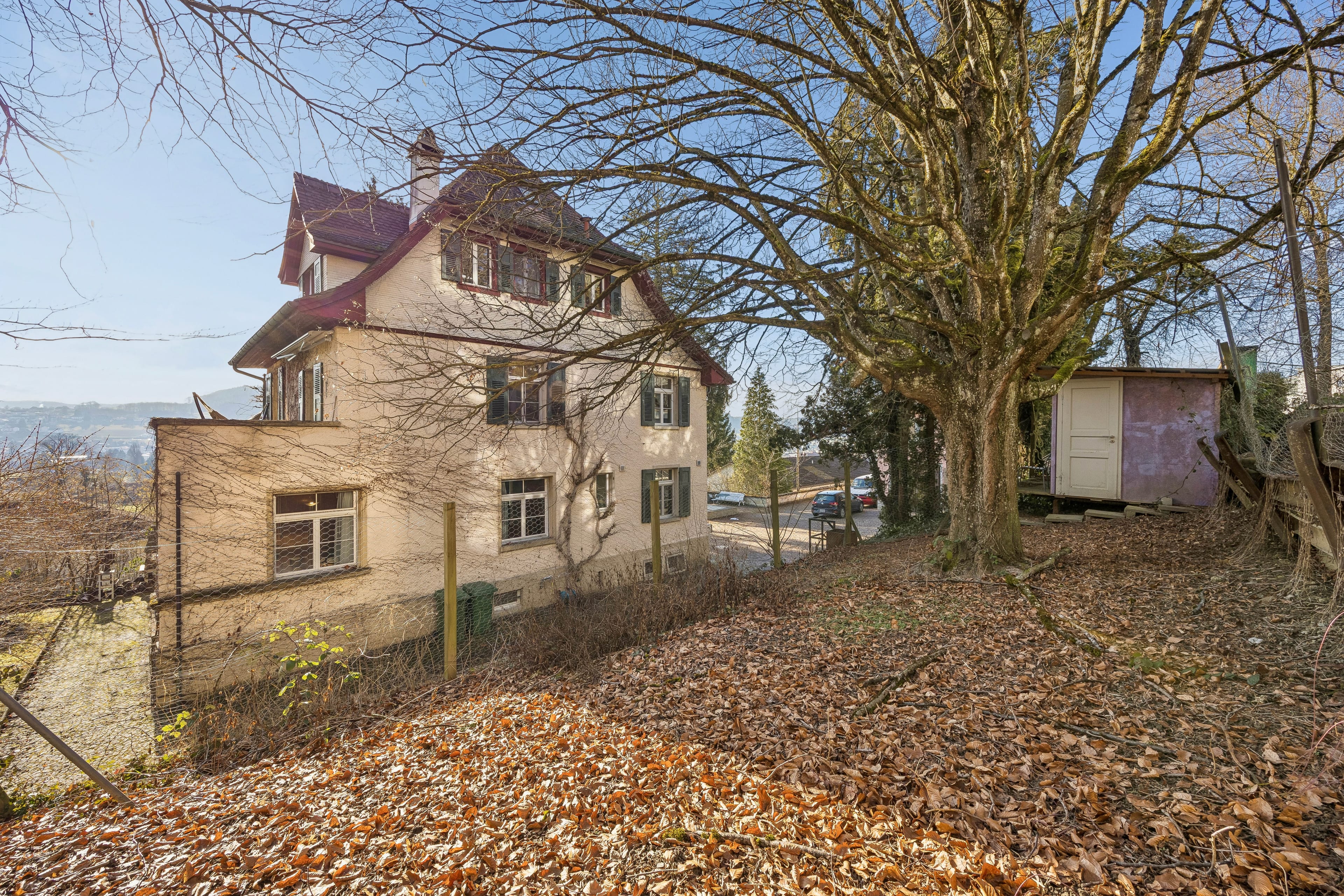 Jugendstilvilla in Reinach mit aussergewöhnlichem Parkgarten - 37