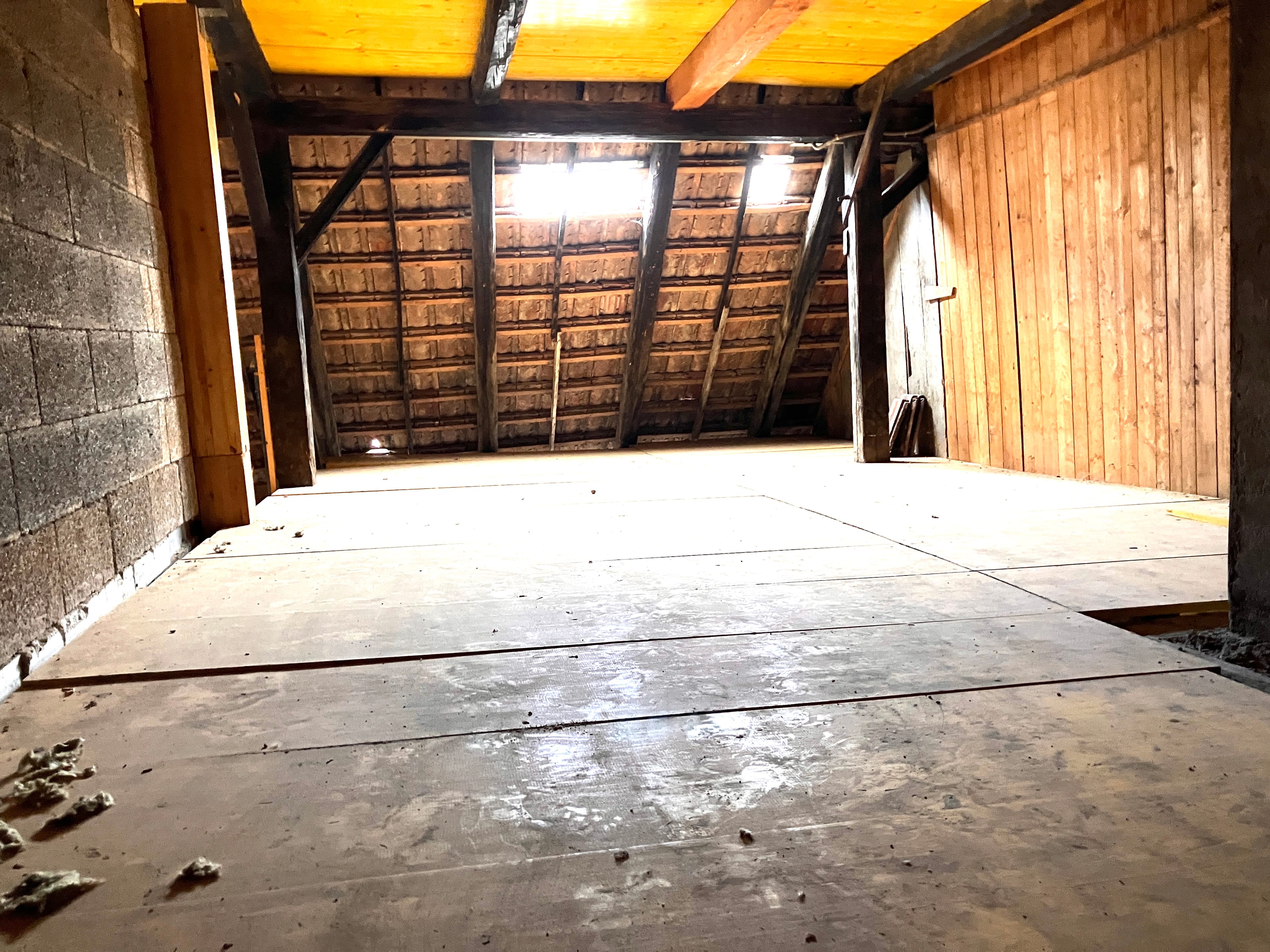 Baubewilligtes 2-Wohnungs-Projekt mit grosser Halle und 2’705 m³ Gebäudevolumen - 19