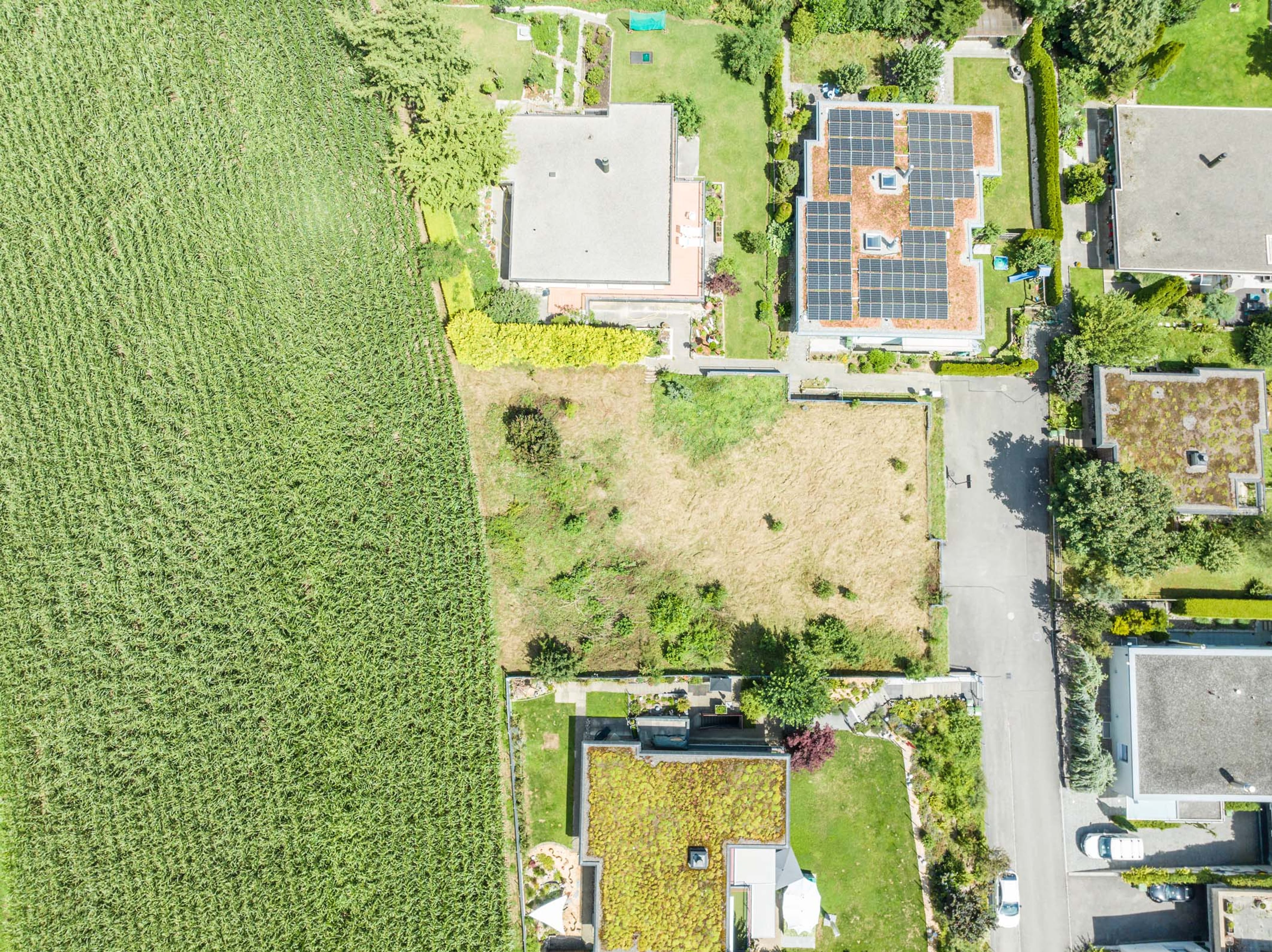 Baulandparzelle am Dentenberg, 801 m2 erschlossenes Bauland - 4