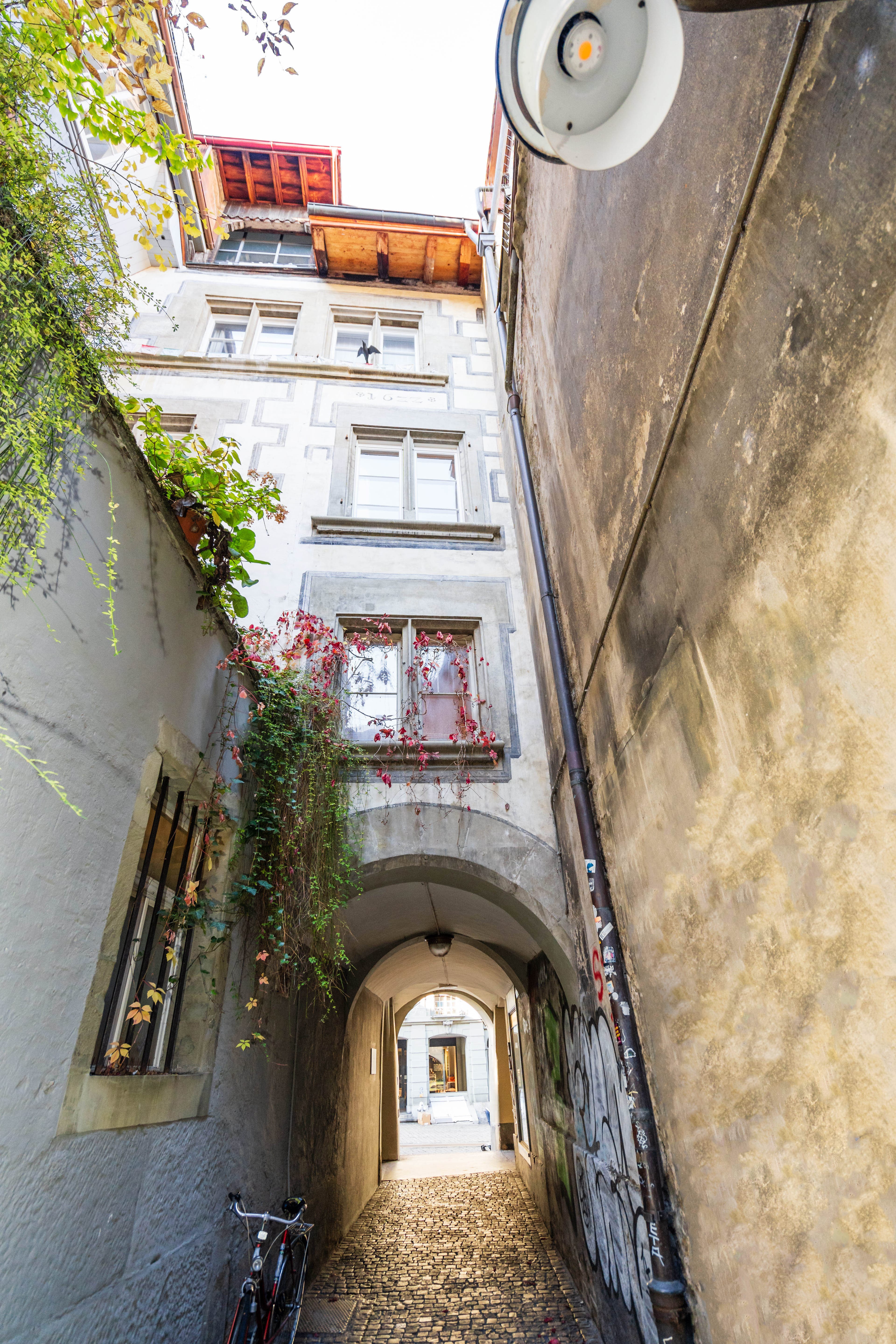 Eine Stockwerkeinheit mit drei Wohnungen, Terrasse im Innenhof, Verkaufsfläche und Gewölbekeller - Bild 2