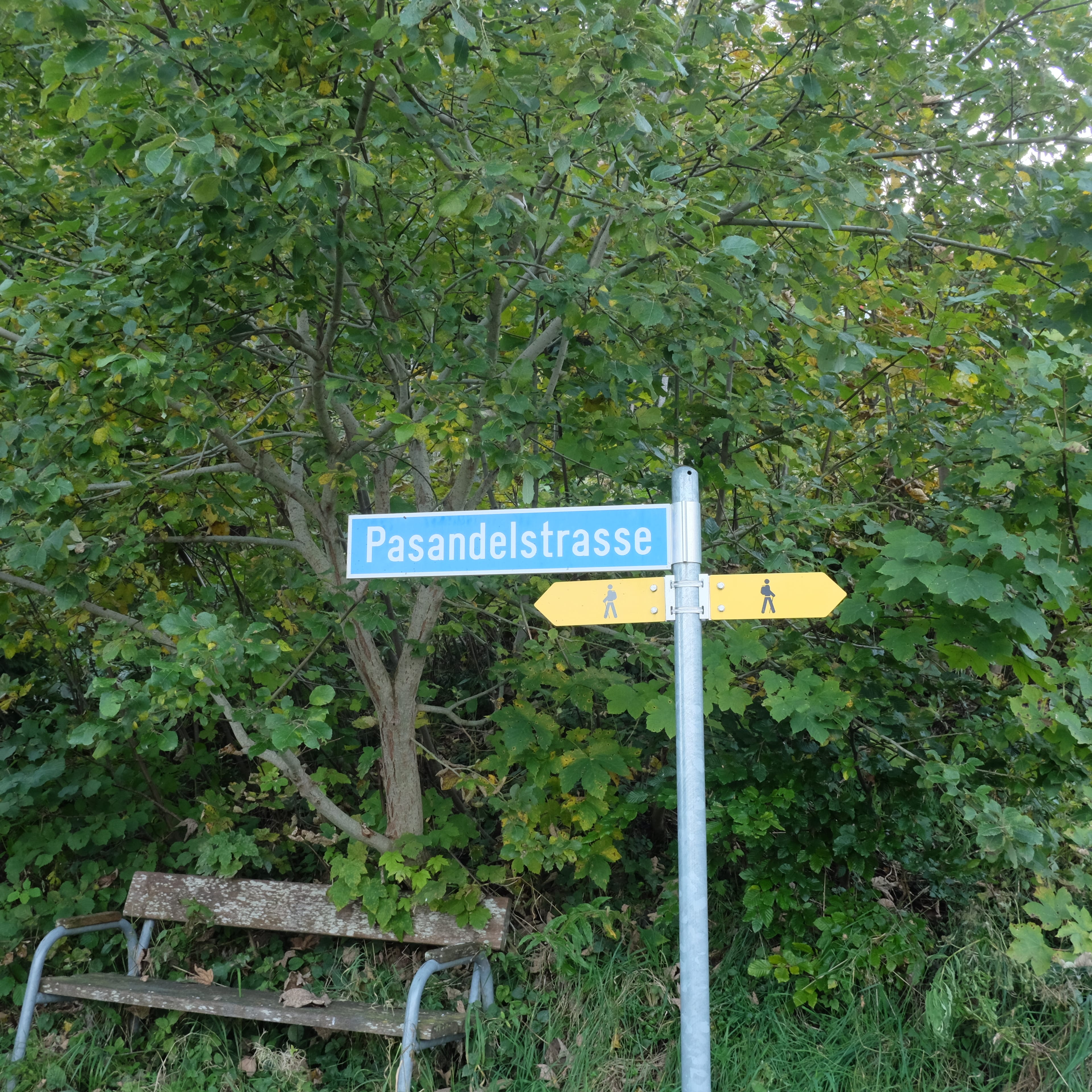 421 m² Bauland mit Aussicht in Flumserberg Tannenheim - kaufen - 8