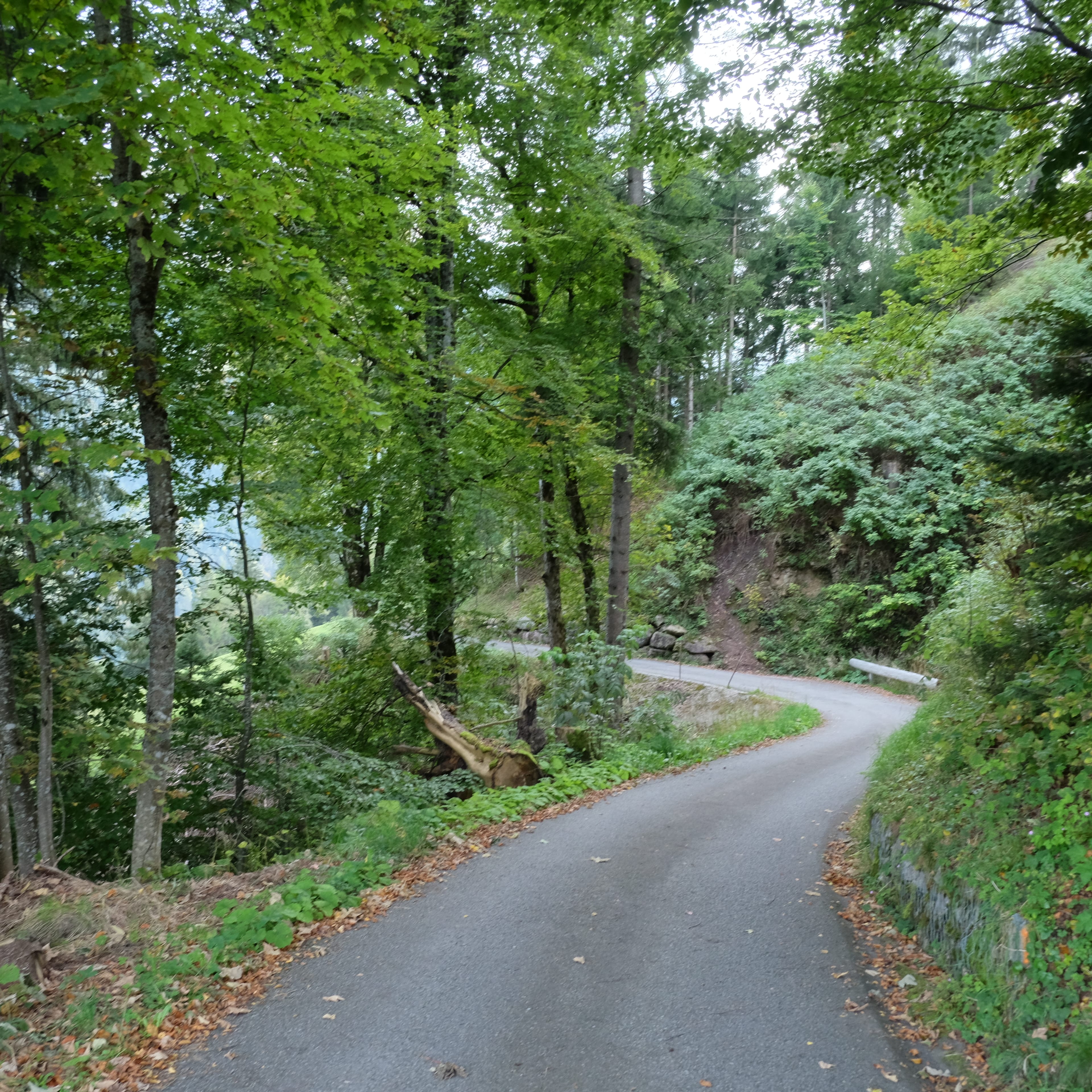 421 m² Bauland mit Aussicht in Flumserberg Tannenheim - kaufen - 9