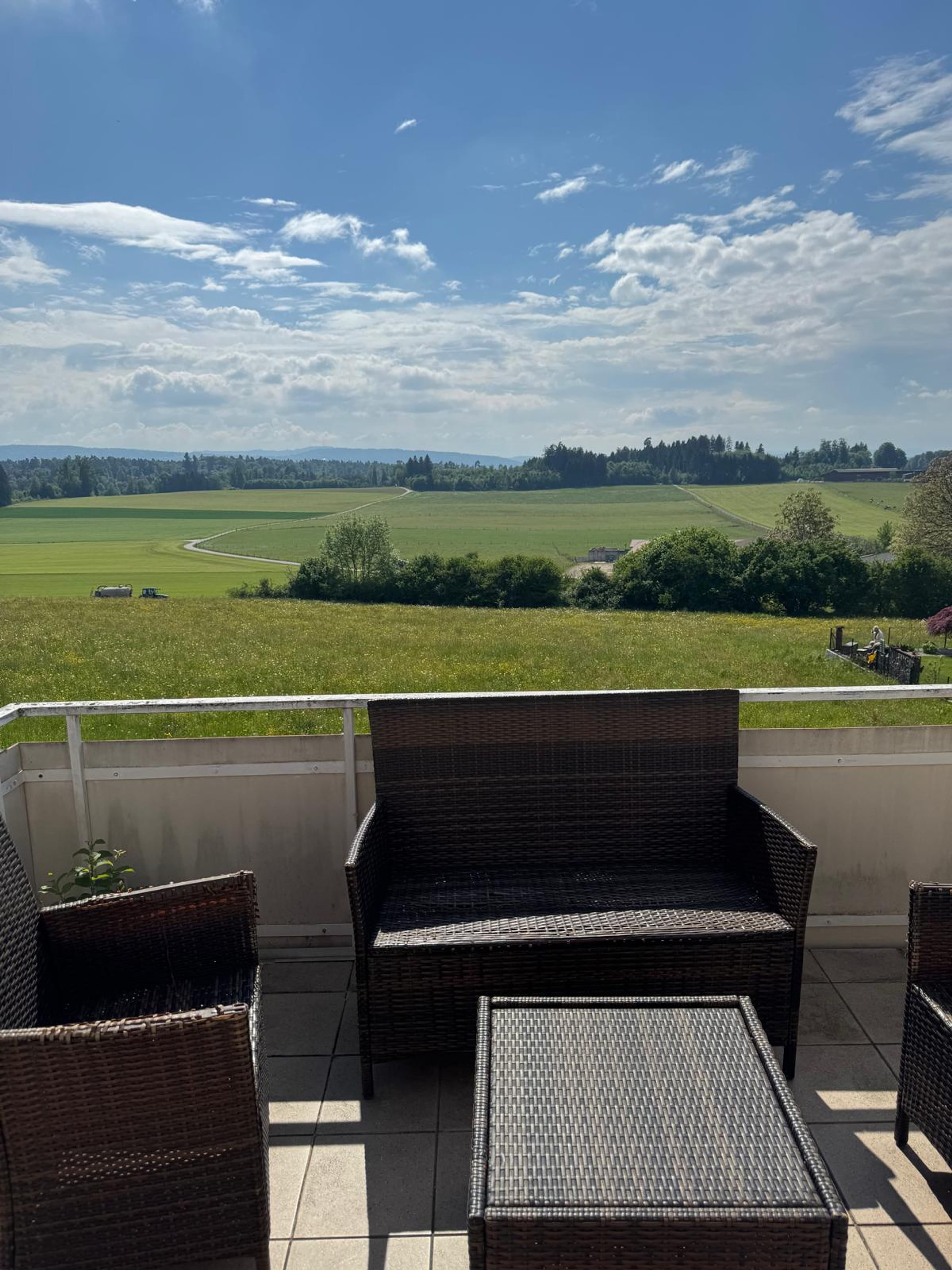 3.5-Zimmer-Dachwohnung mit freier Weitsicht in Tagelswangen  - Bild 1