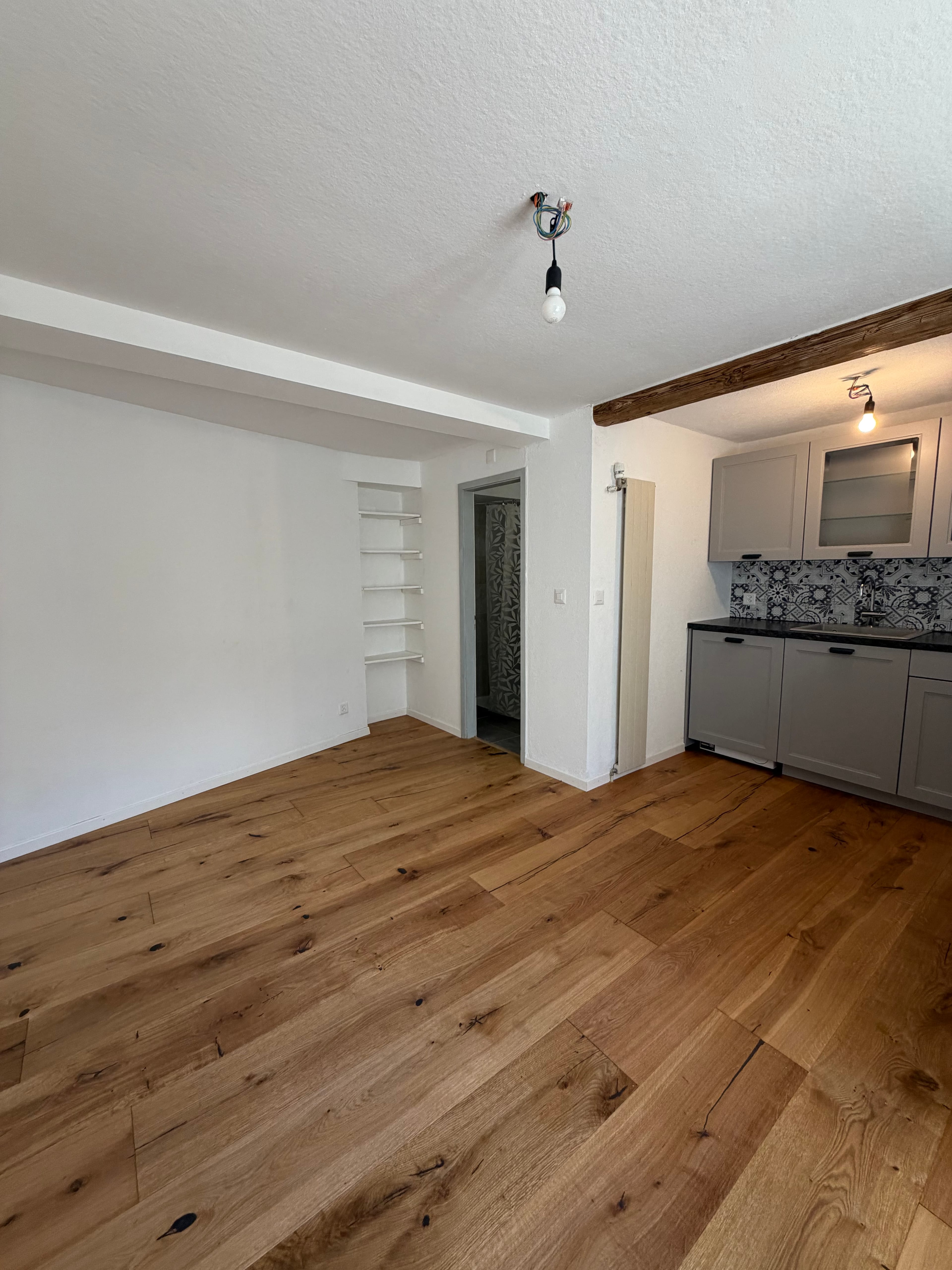 Frisch renoviertes 1-Zimmer-Studio mit Eichenparkett in Chur - 2
