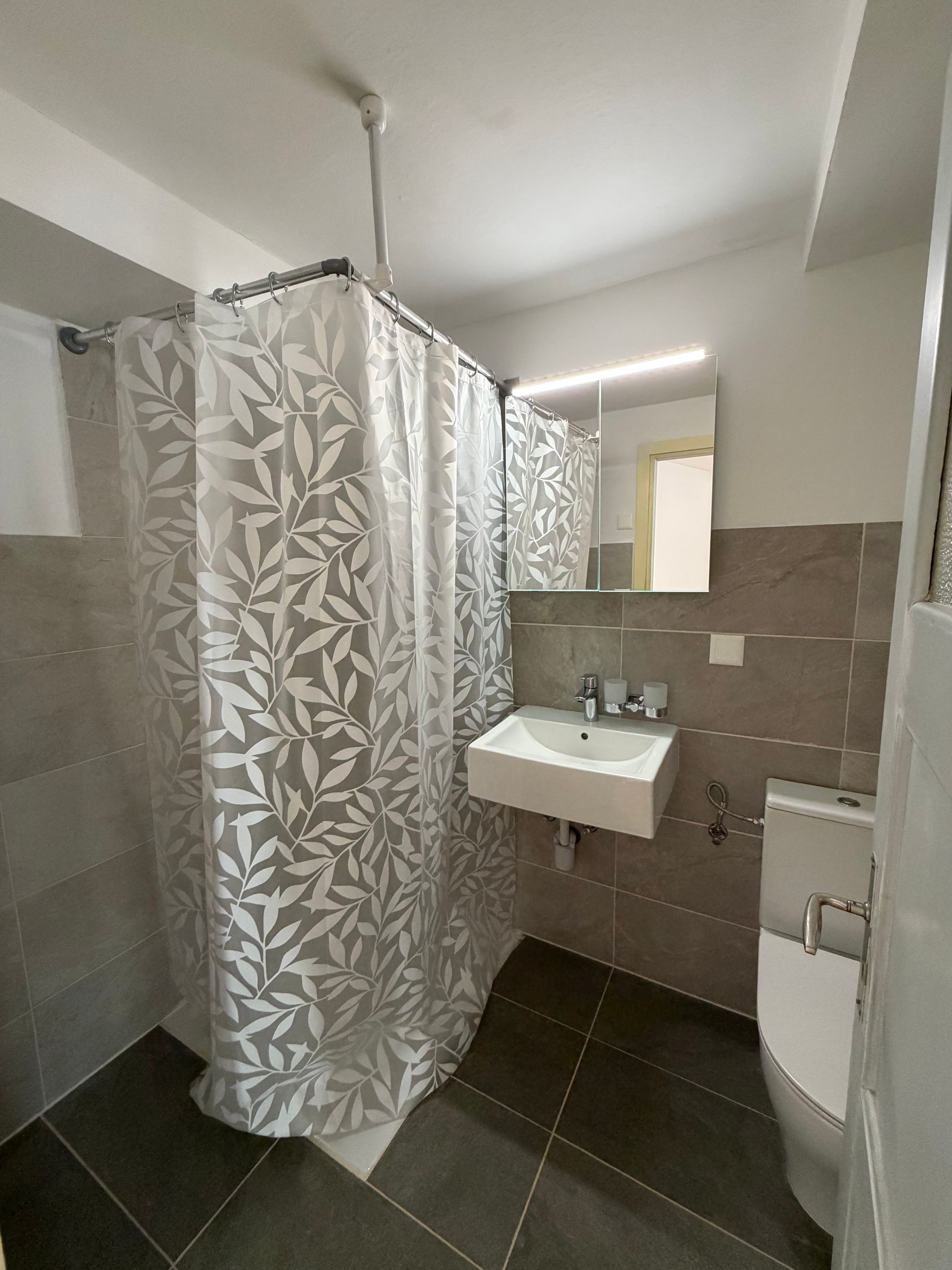 Frisch renoviertes 1-Zimmer-Studio mit Eichenparkett in Chur - 3