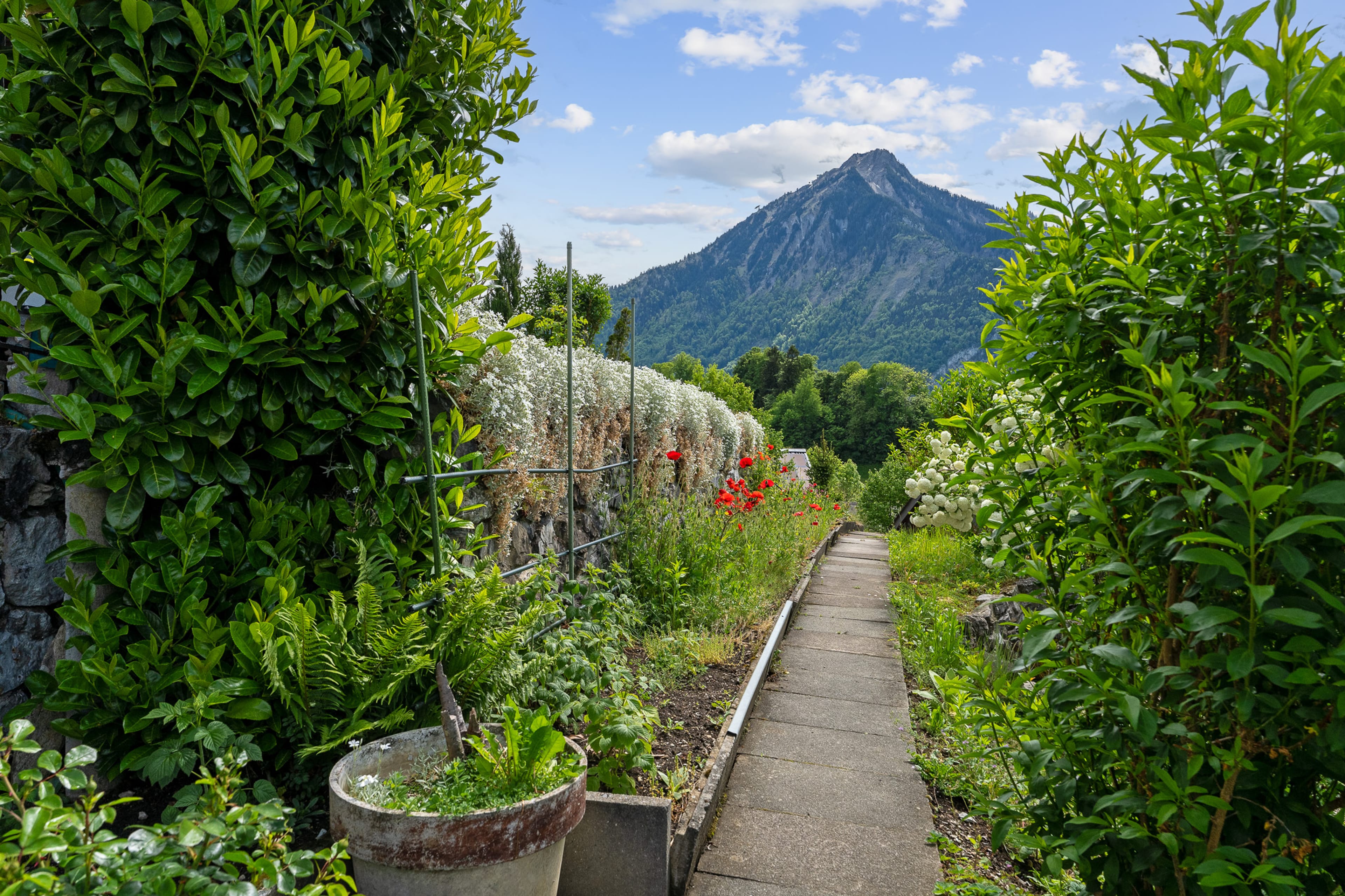 4.5-Zimmer-Einfamilienhaus mit Einliegerwohnung und traumhafter Bergsicht in Ennetmoos - 26