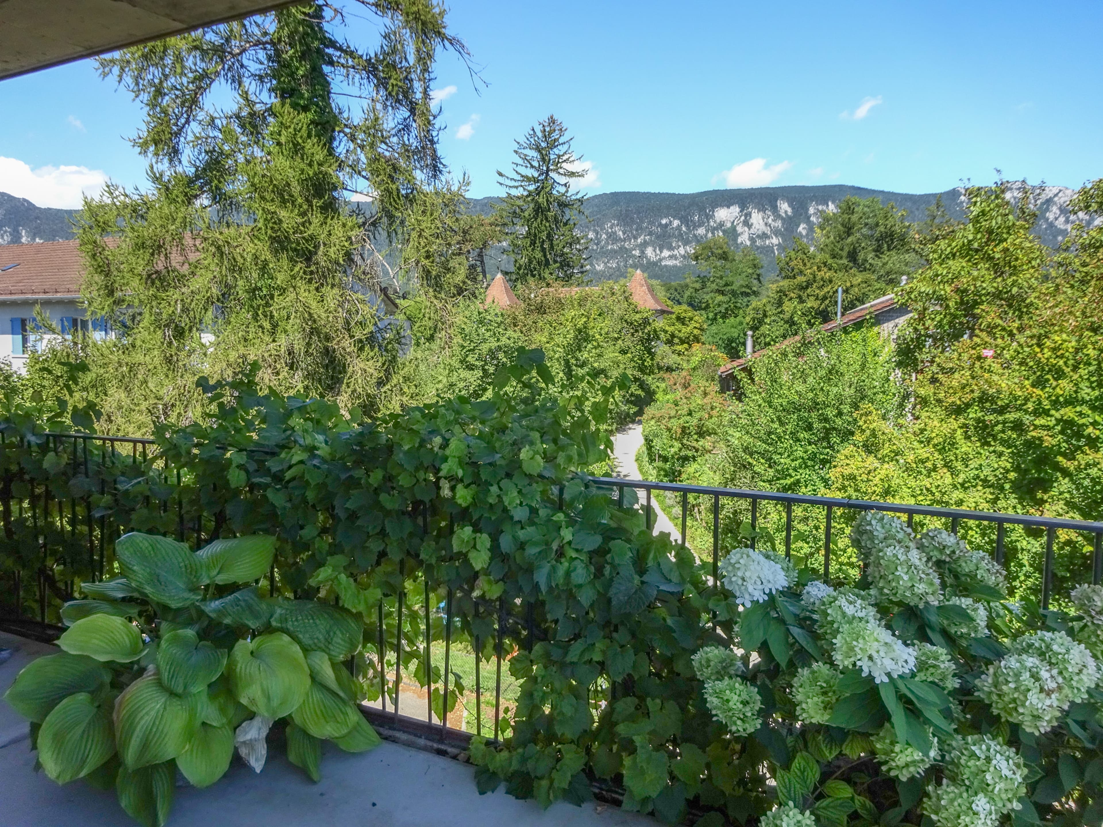Seltene Gelegenheit: Attikawohnung mit 124 m² Terrasse an begehrter Lage - 26