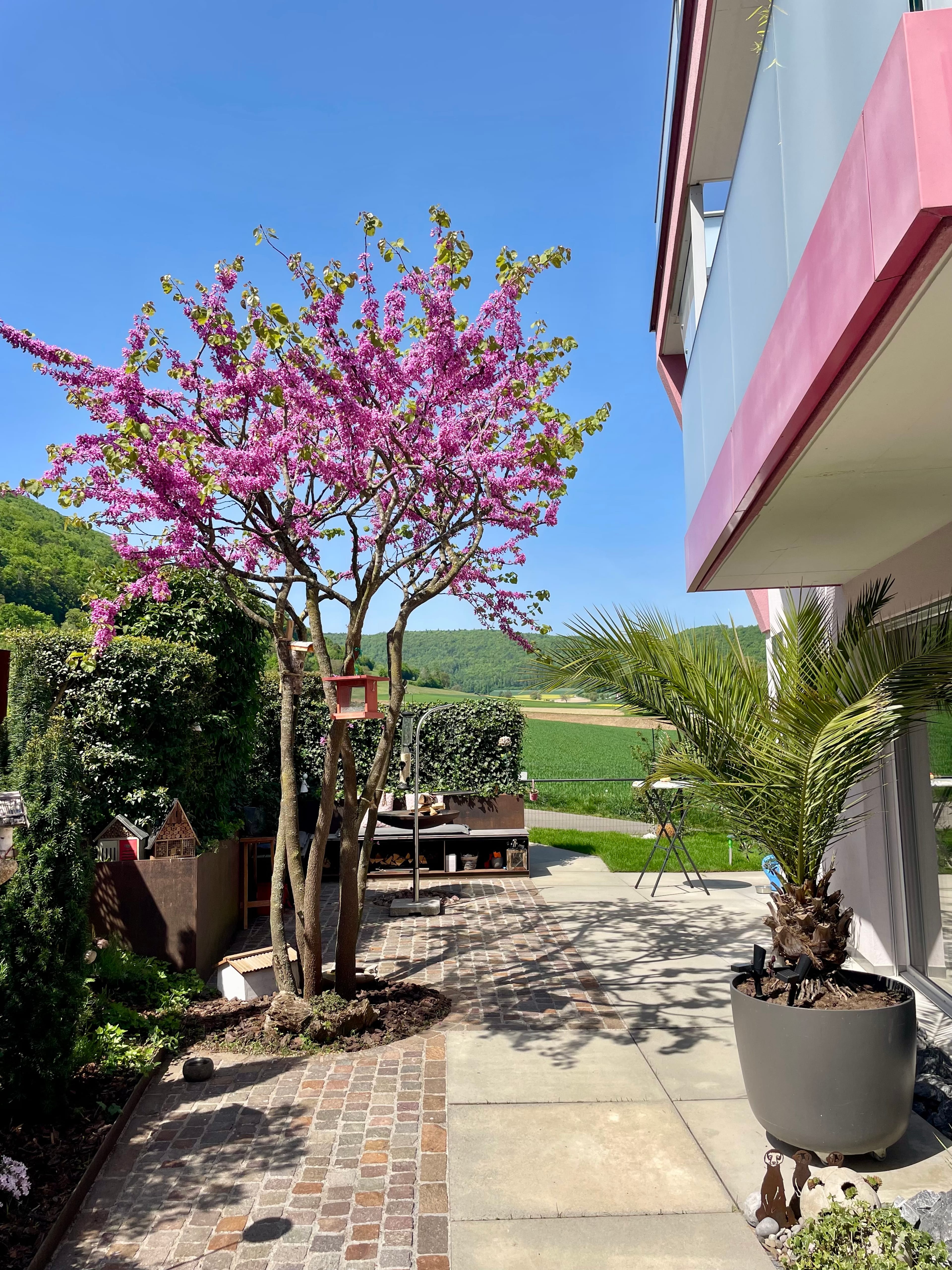 6-Zimmer-Designhaus mit Dachterrasse in Beringen kaufen - 1