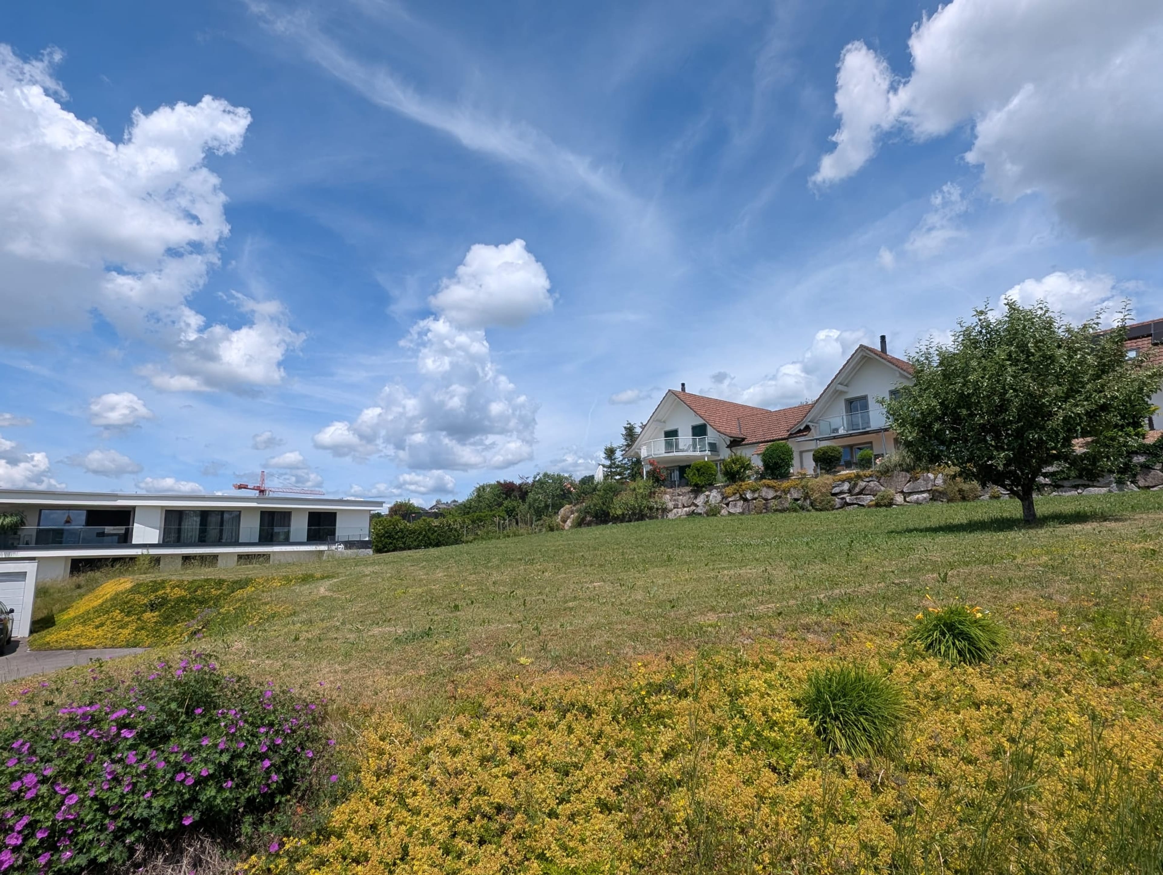 1'283m² Bauland in Oberwil-Lieli - 5