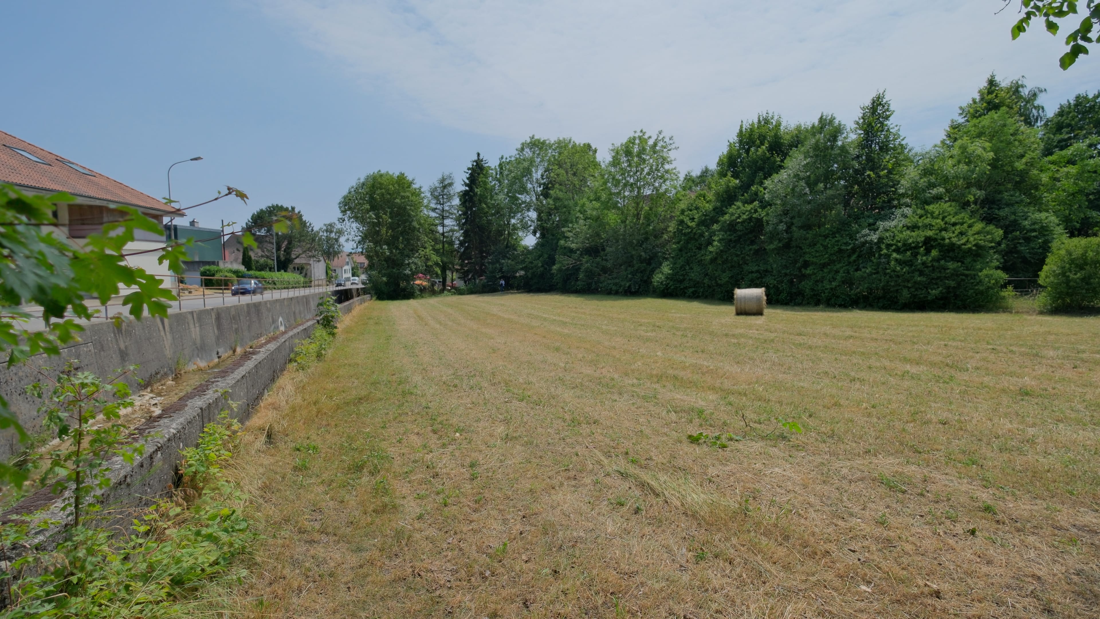 1'691 m² Landparzelle in Langendorf - 5