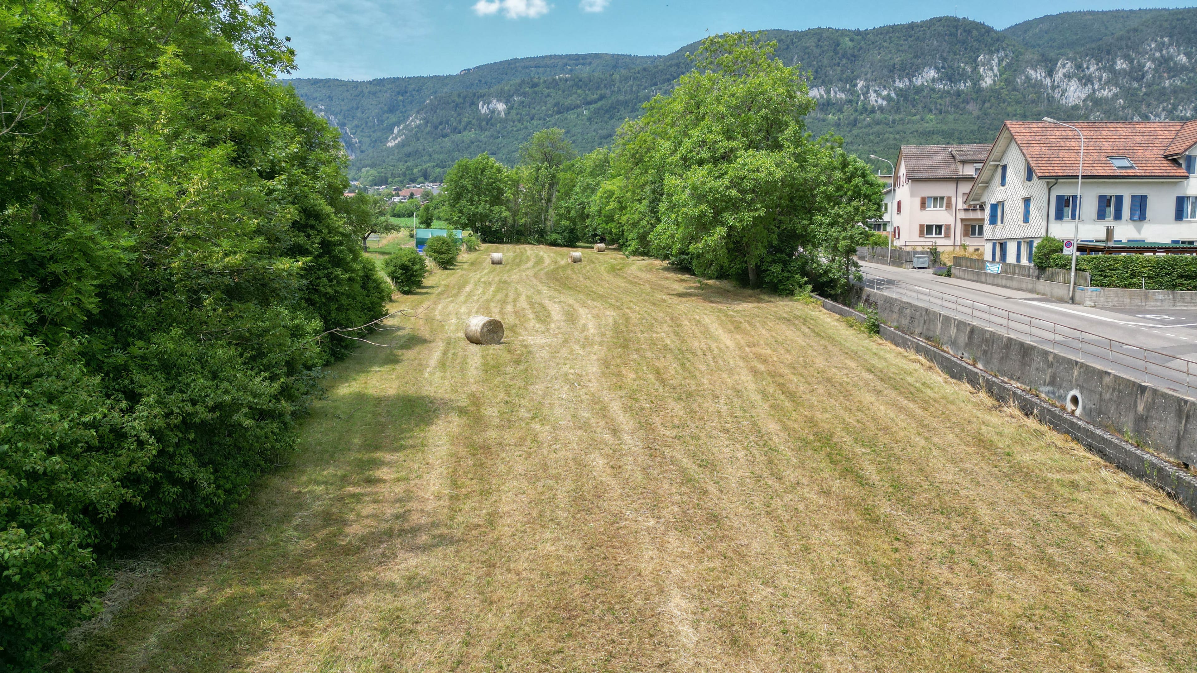 1'691 m² Landparzelle in Langendorf - 6