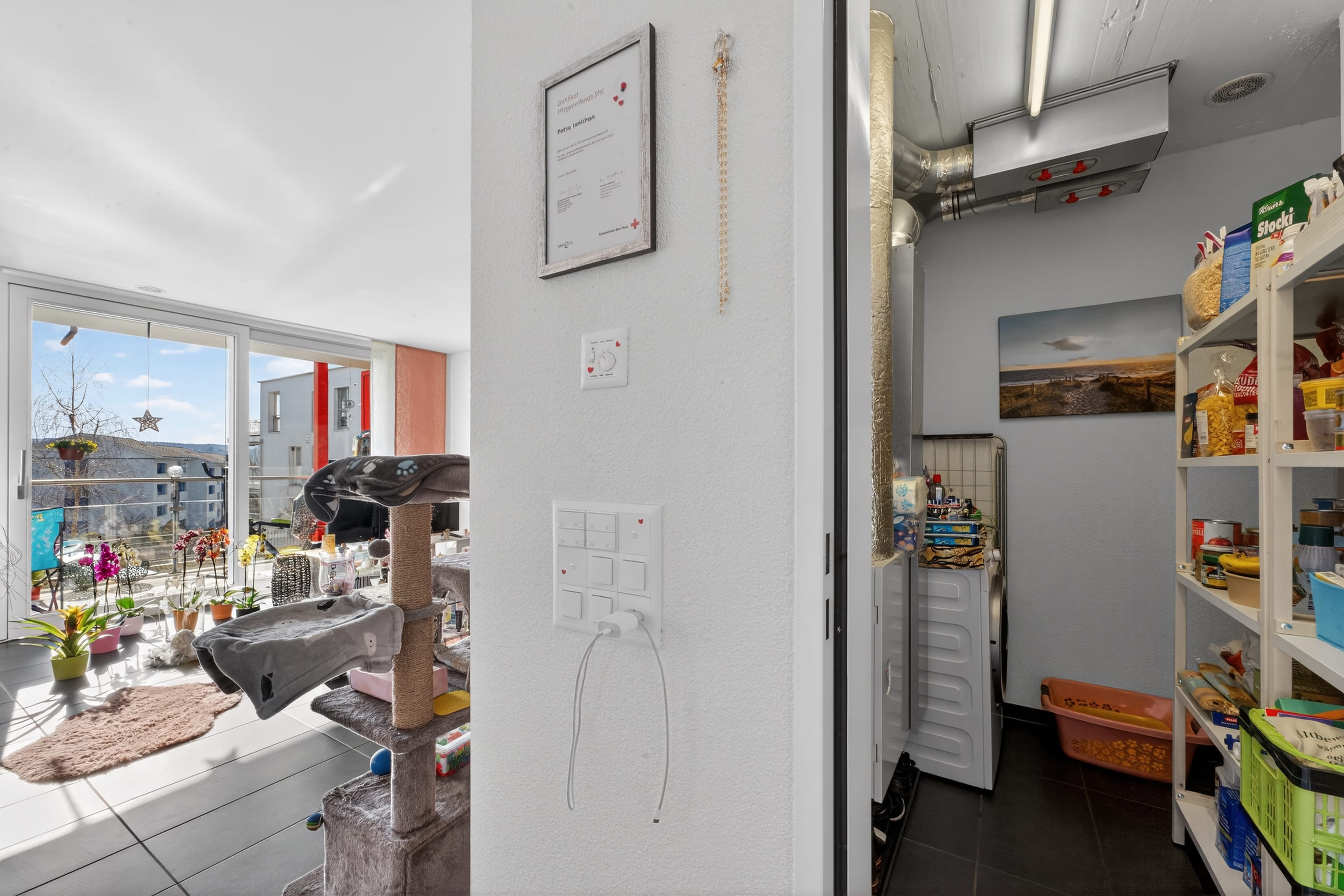 Sonnige 3.5-Zimmer-Gartenwohnung mit Balkon und grossem Gartensitzplatz - 6