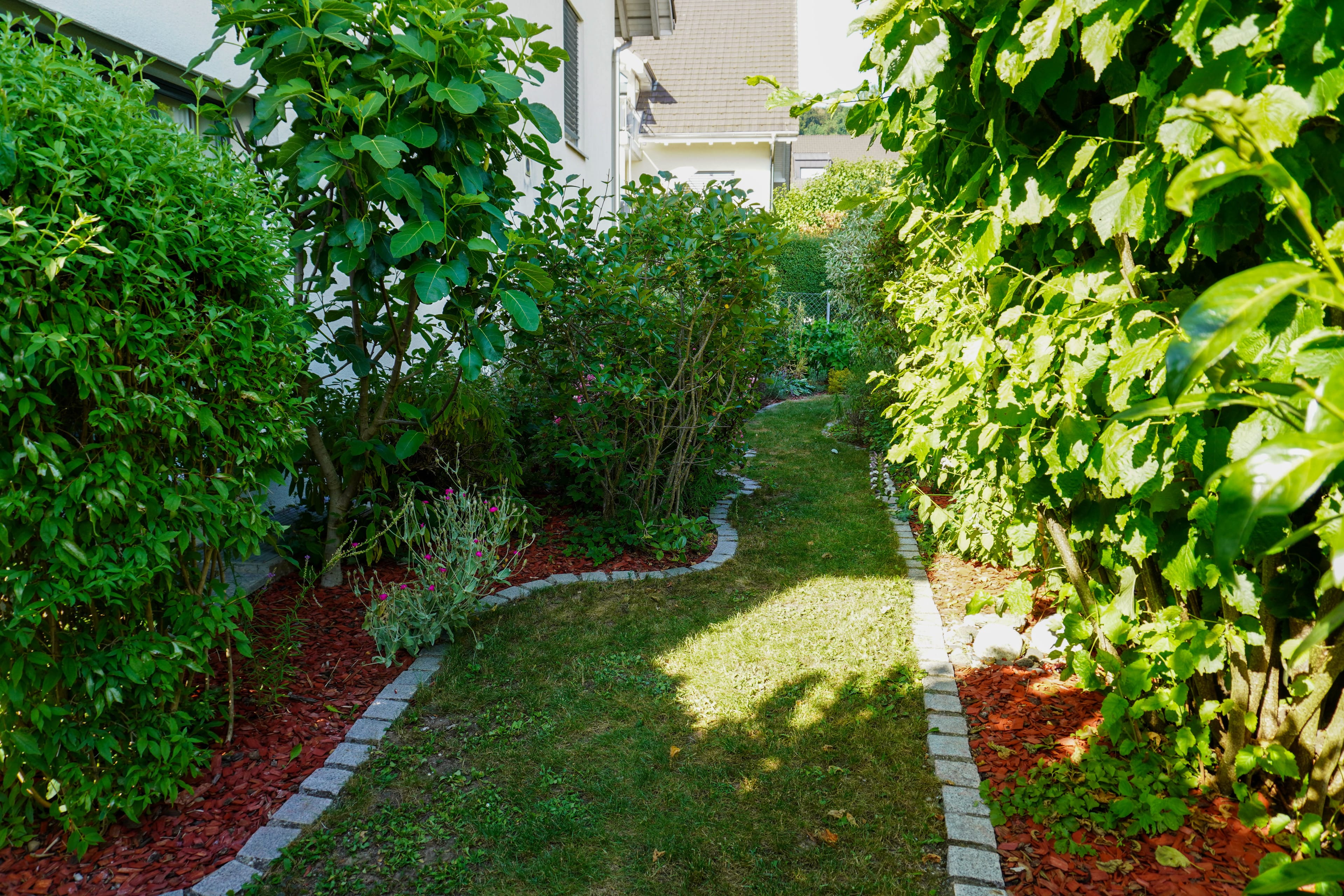 4½ Zimmer-Gartenwohnung im Lindenpark - 5
