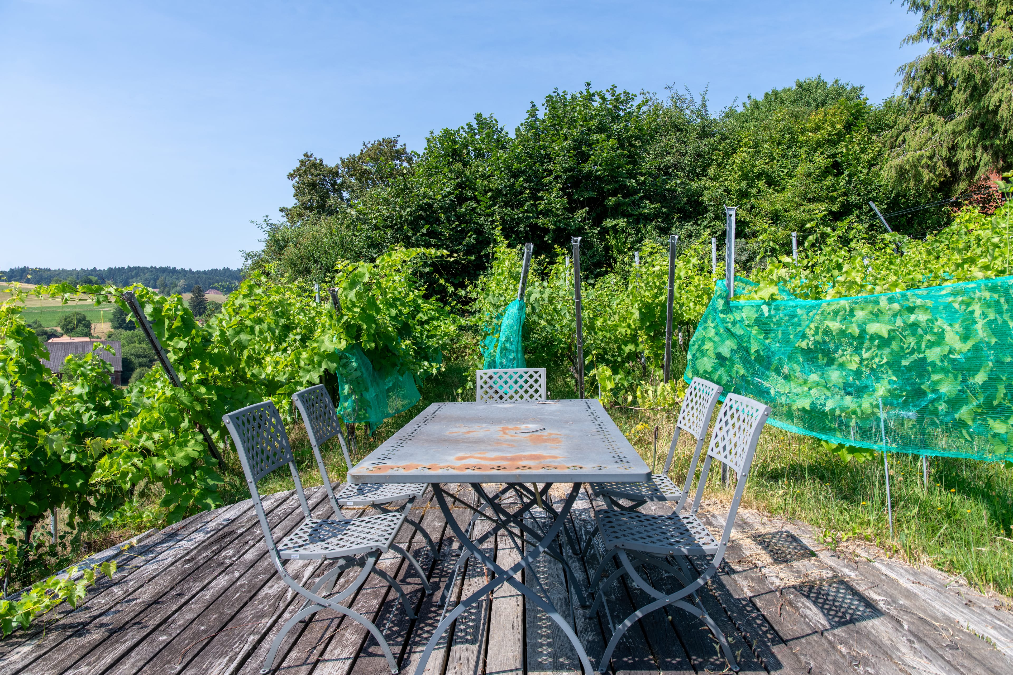 Wohnen und Vermieten - Exklusives Anwesen mit Weitsicht - 40