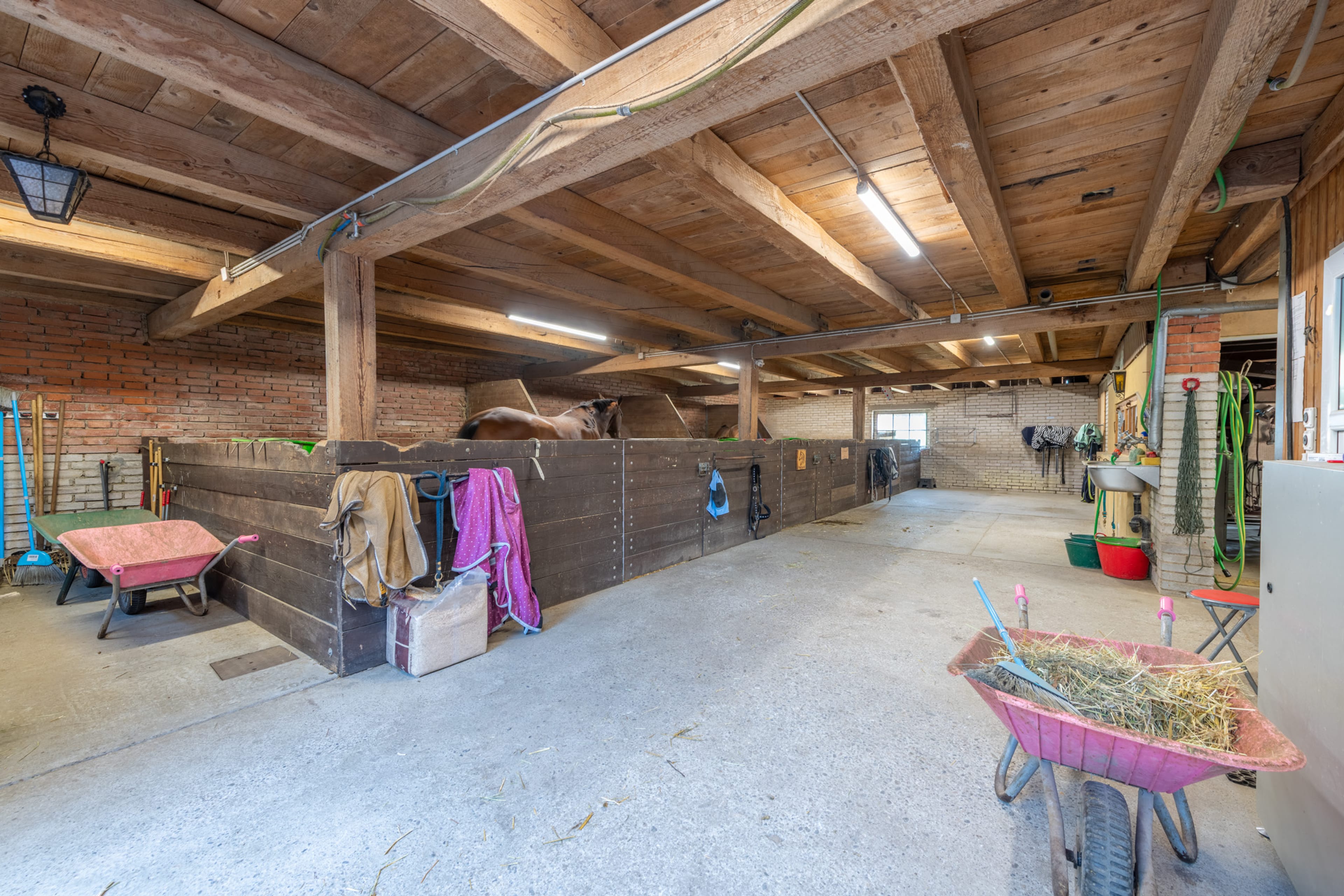 Attraktives Zweifamilien Bauernhaus – frei vom BGBB - 23