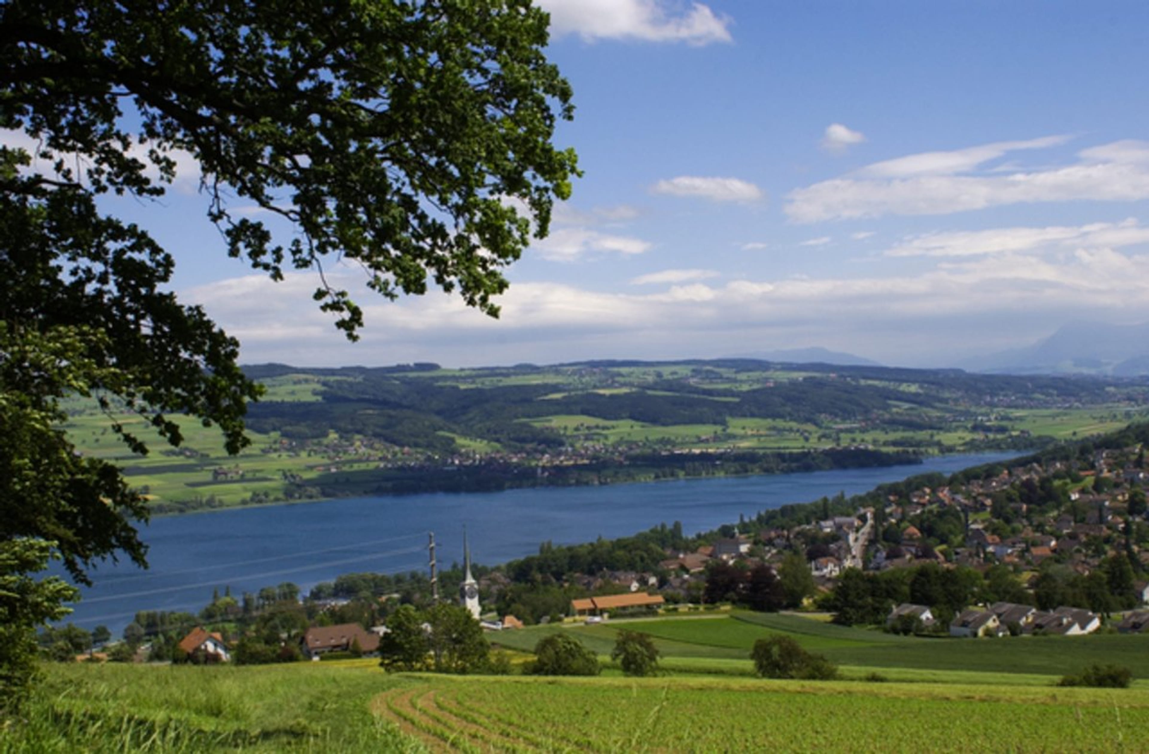 5.5-Zi.-Haushälfte «Sol» in Beinwil am See, Energieklasse A - 15