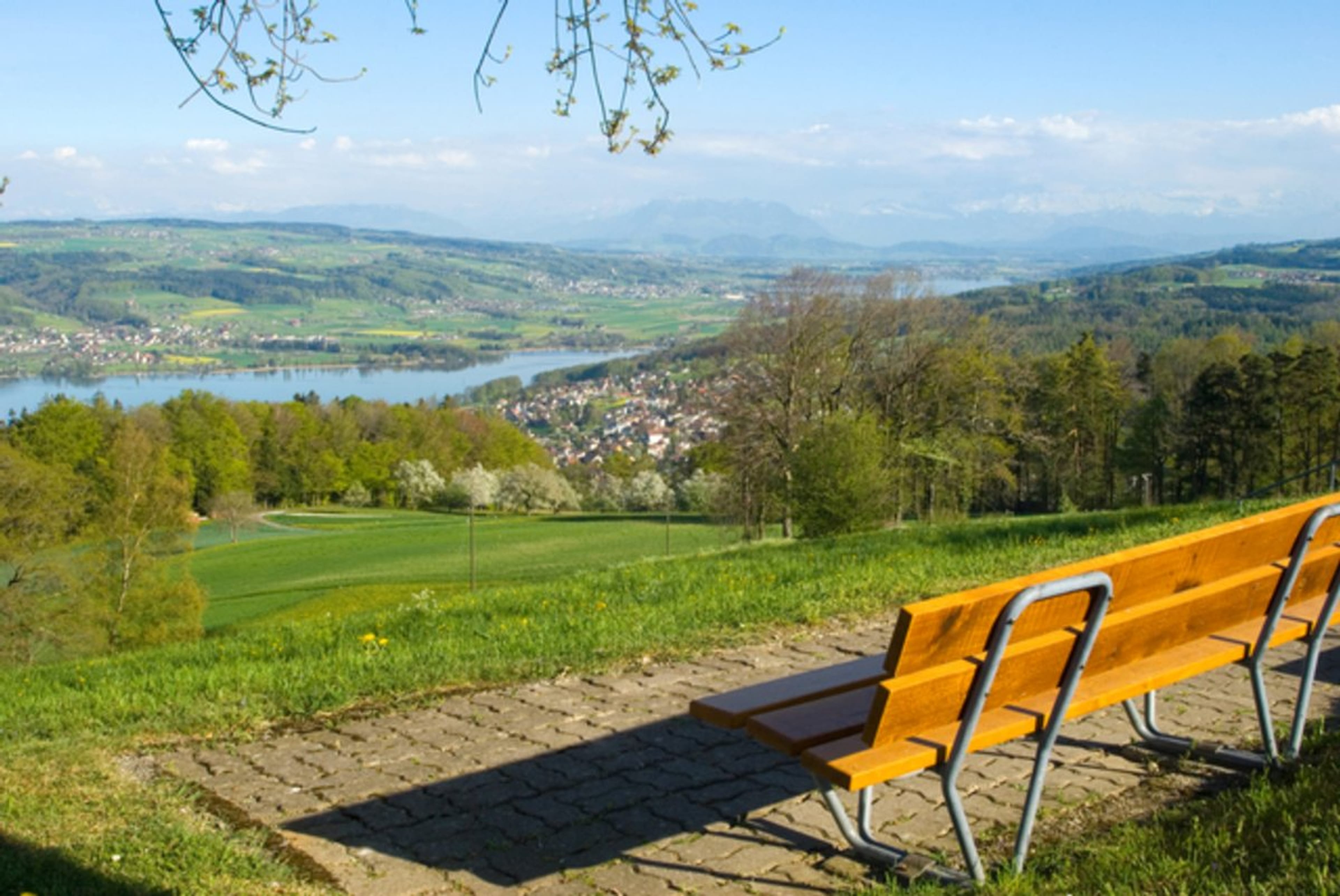 5.5-Zi.-Haushälfte «Sol» in Beinwil am See, Energieklasse A - 14