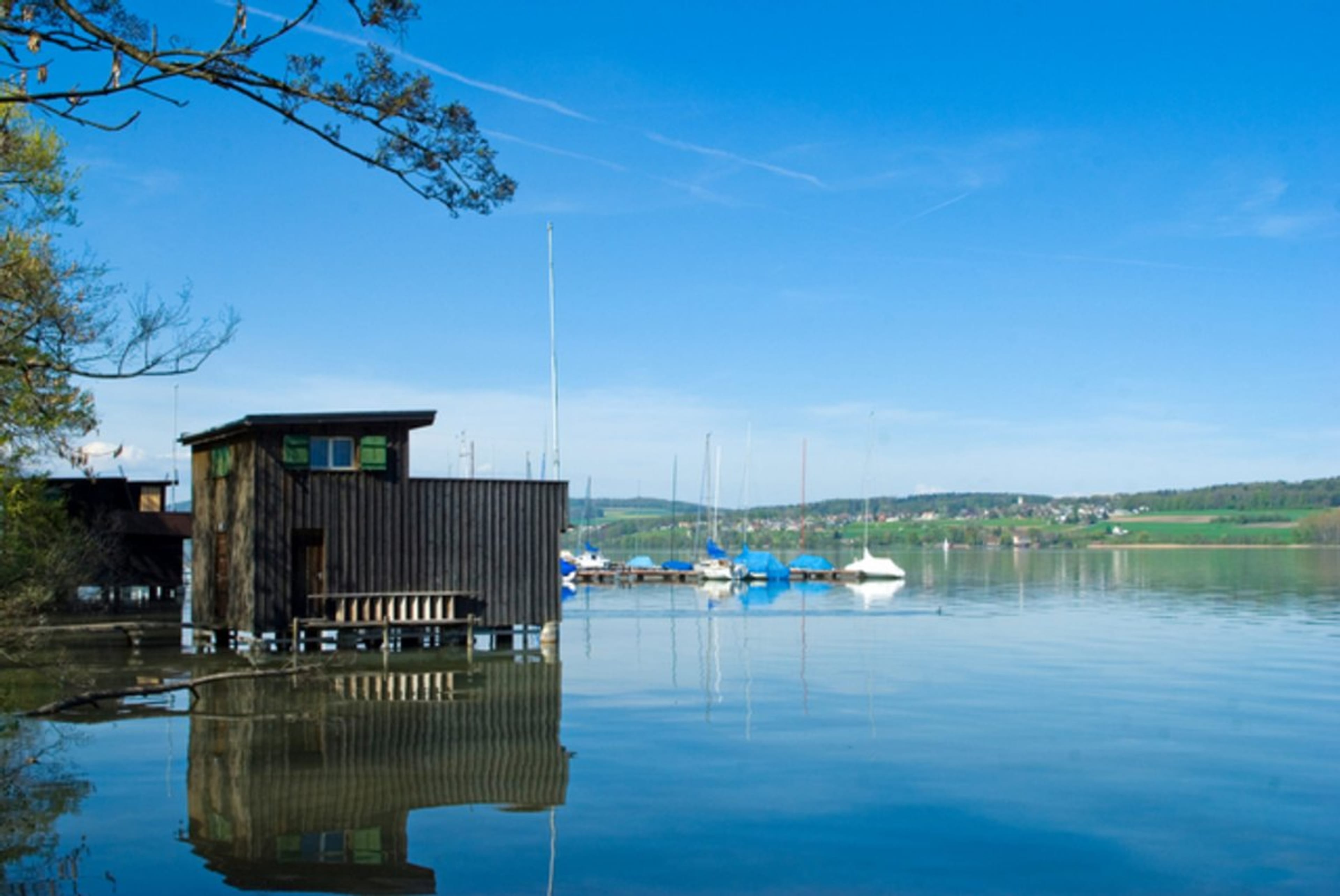 5.5-Zi.-Haushälfte «Sol» in Beinwil am See, Energieklasse A - 8
