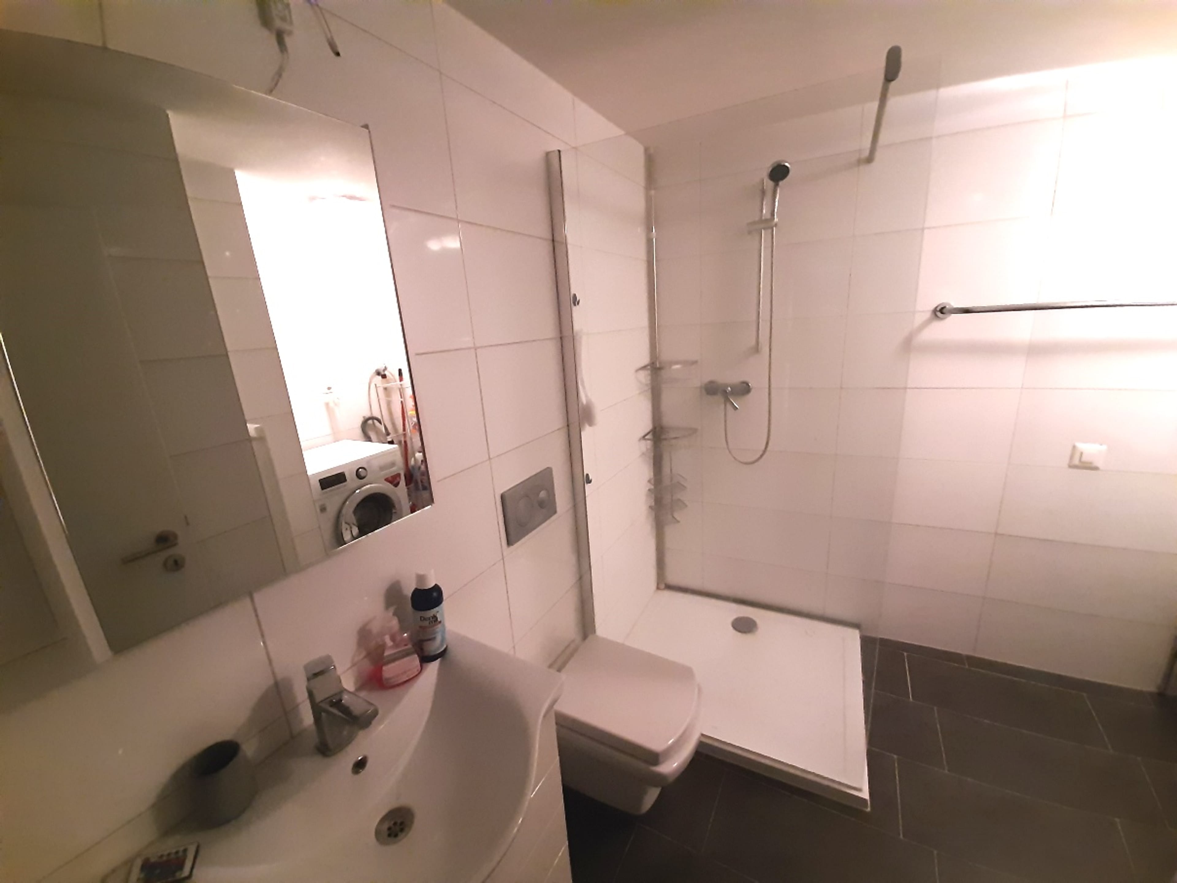 3.5-Zimmer-Dachwohnung mit Charme in Kaiserstuhl mieten - 7