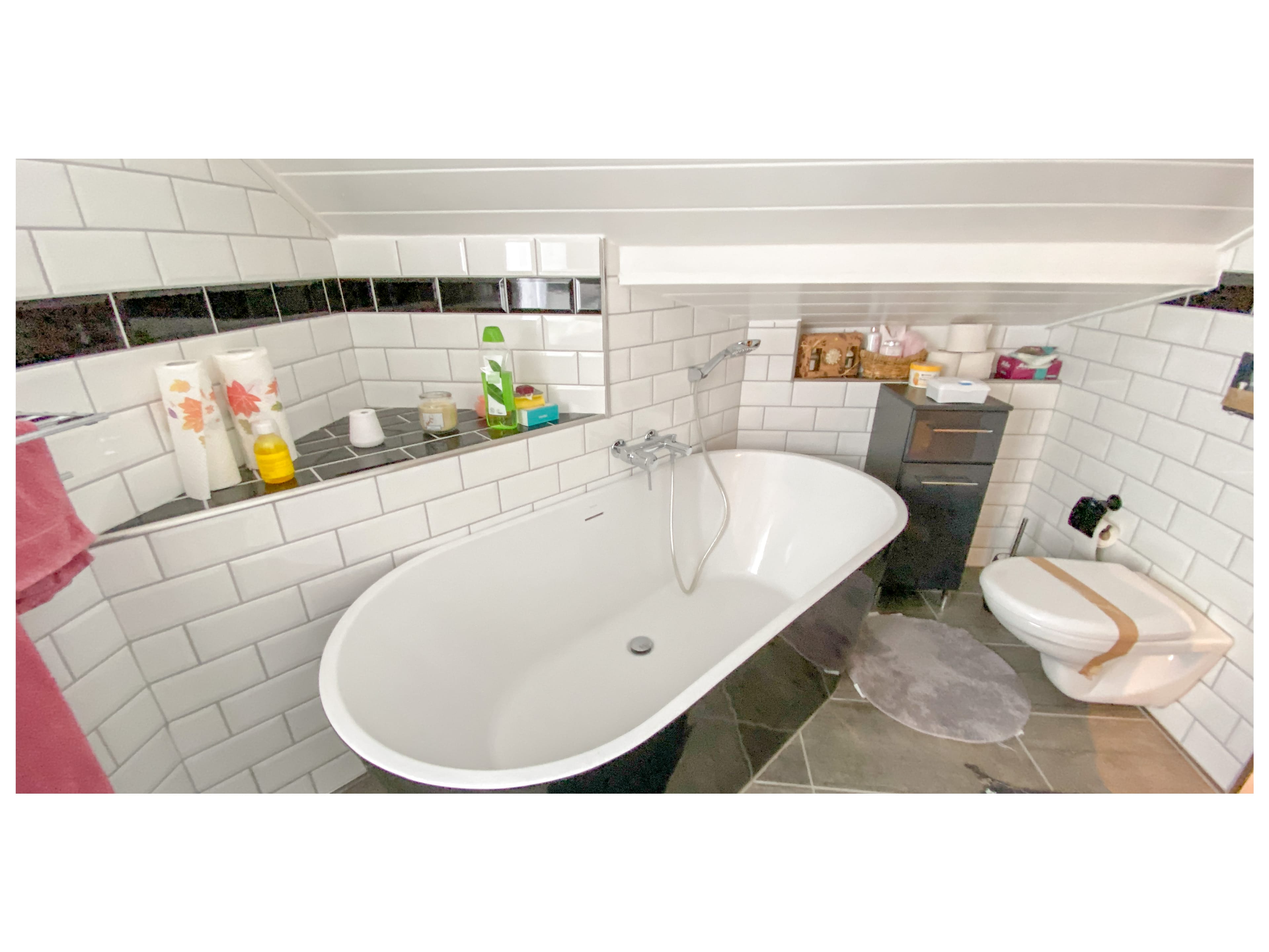 3-Zimmer-Einfamilienhaus in Rümlang kaufen - 1'196 m² Grundstück - 5