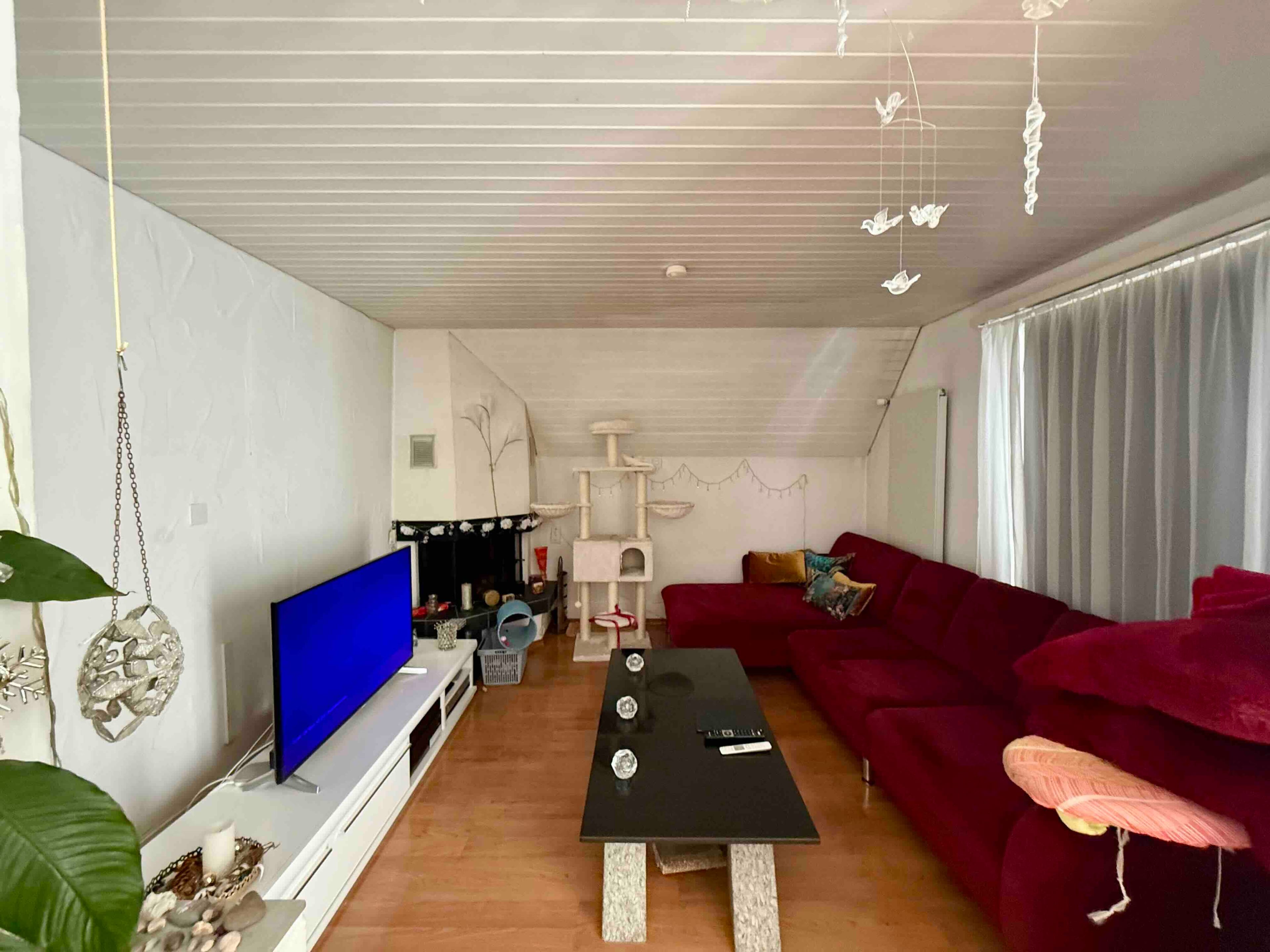 6.5-Zimmer-Haus mit Gewerbeanteil in Zuchwil kaufen - 6