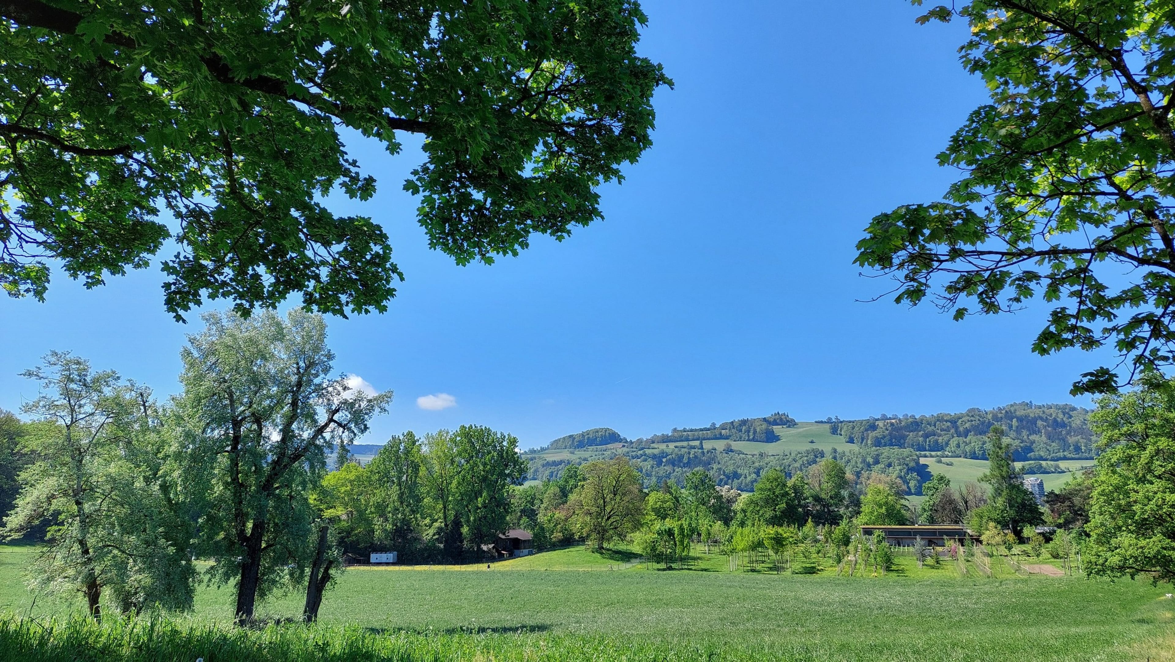 Helle 3.5-Zimmer-Wohnung an bester Lage in Bern - 16