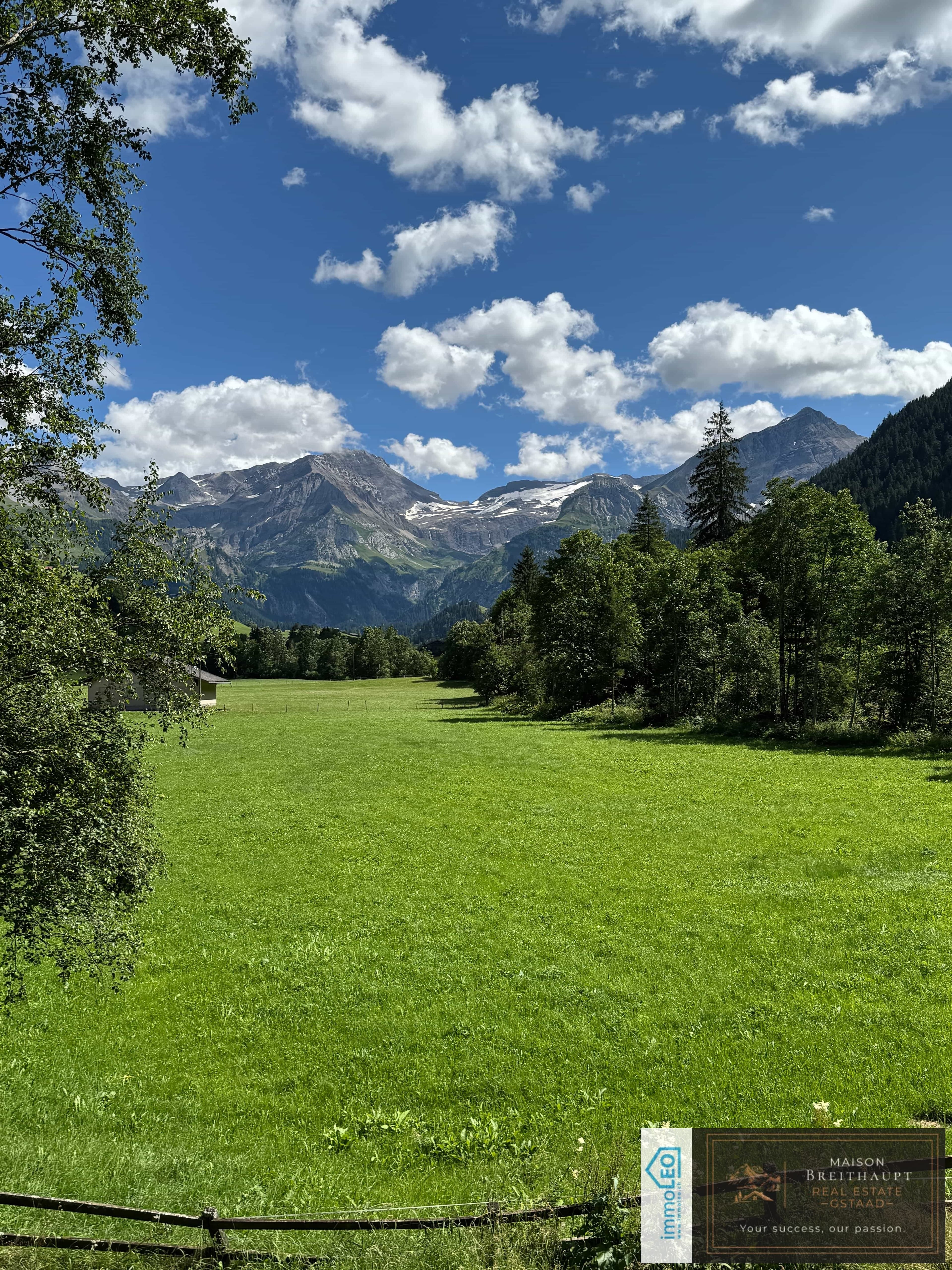 Idyllisches 5½-Zimmer Neubau-Chalet mit Bergsicht - Bild 3